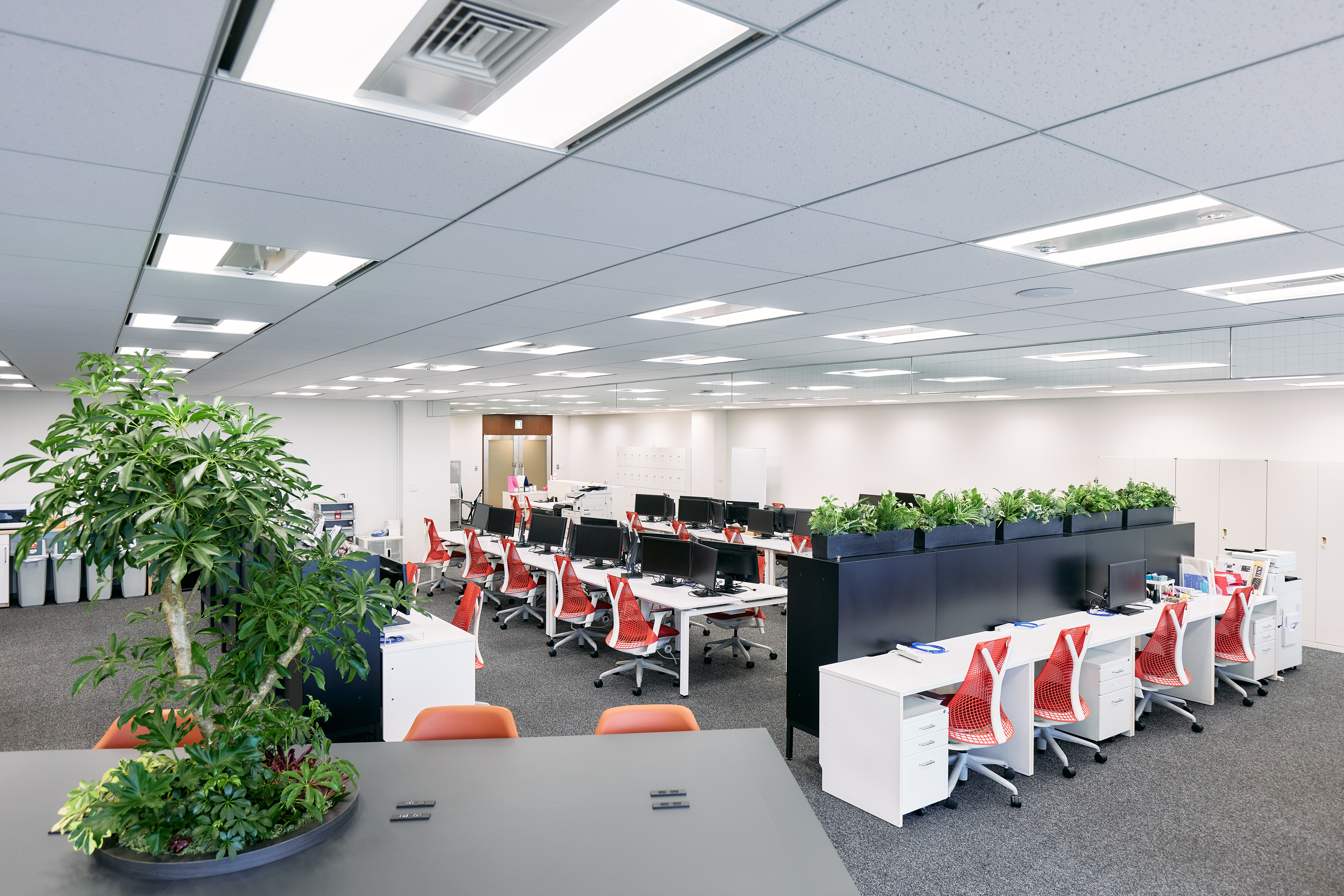 【今も現役経営者】創業メンバーが歩む、風変わりな14年