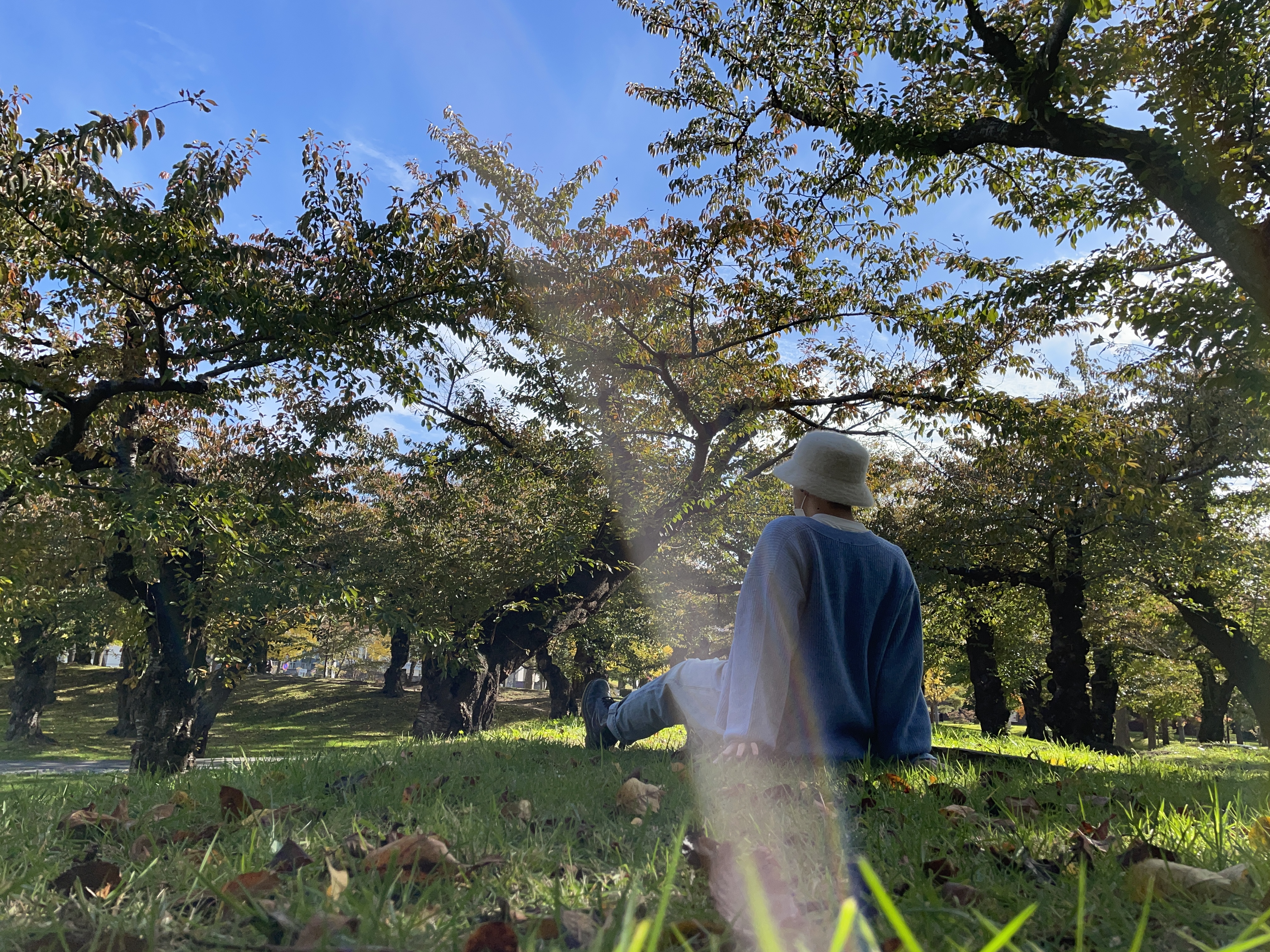 【インターン生紹介vol. 3】新潟の企業インターンに参加する、北海道の”高専生”です！