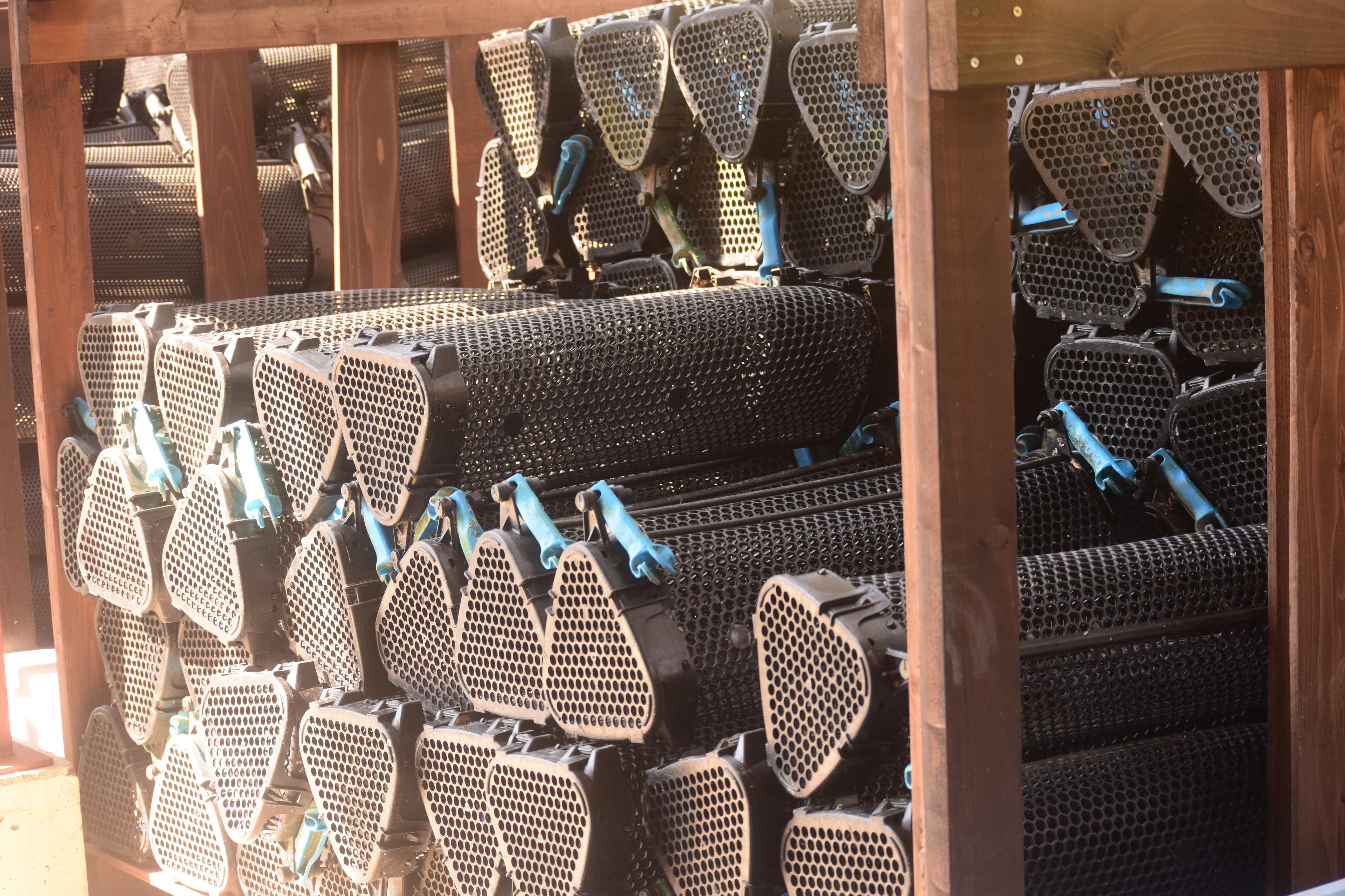 リブルの牡蠣養殖「シングルシード式」のビジネス的なメリットとは？