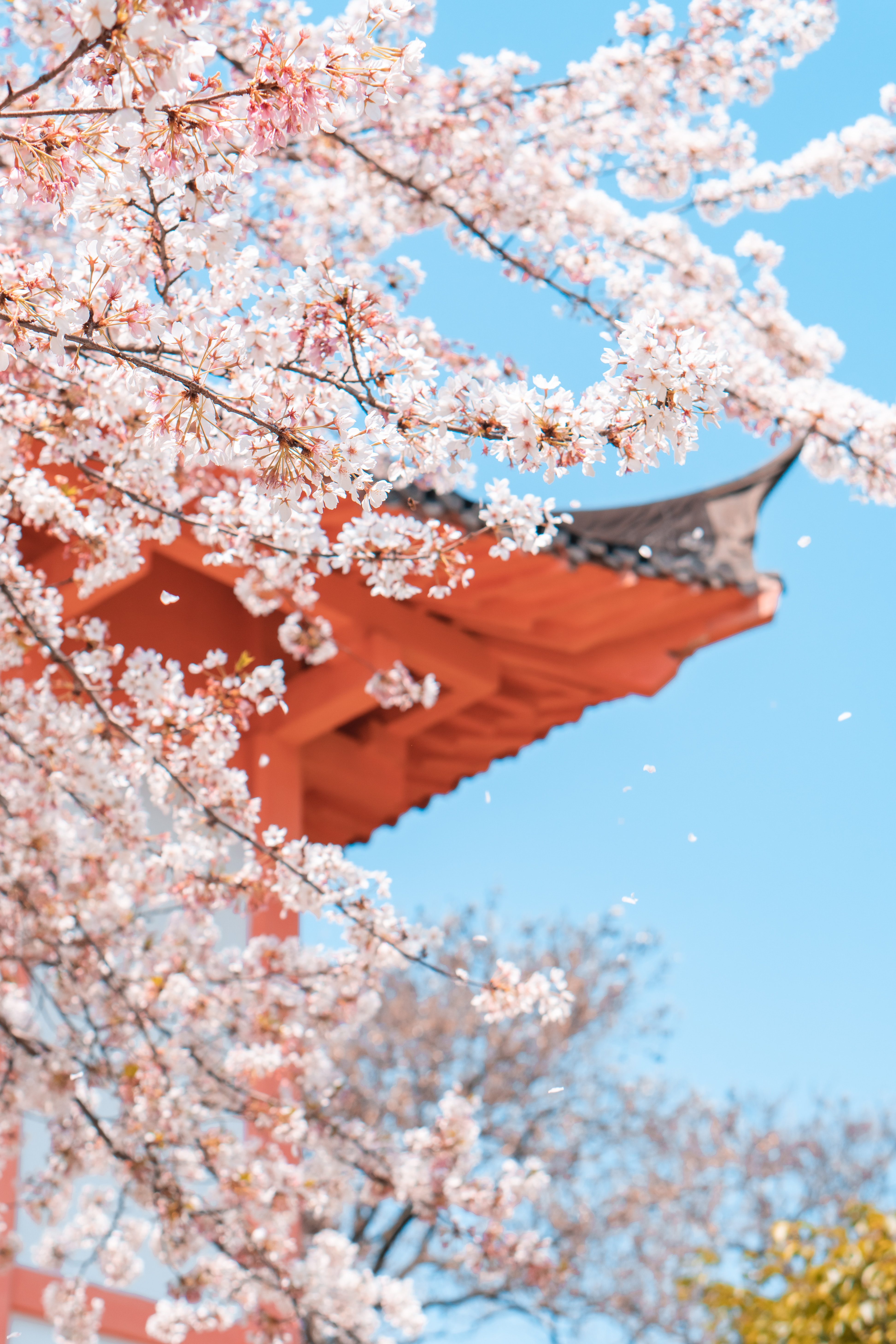 ご縁