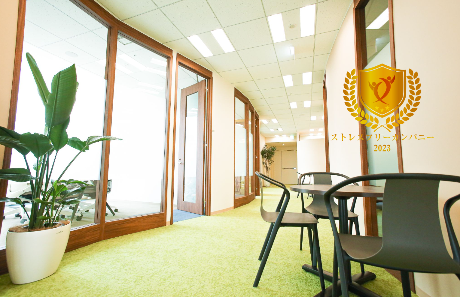 『ストレスフリーカンパニー』を受賞🎉当社の福利厚生をご紹介します