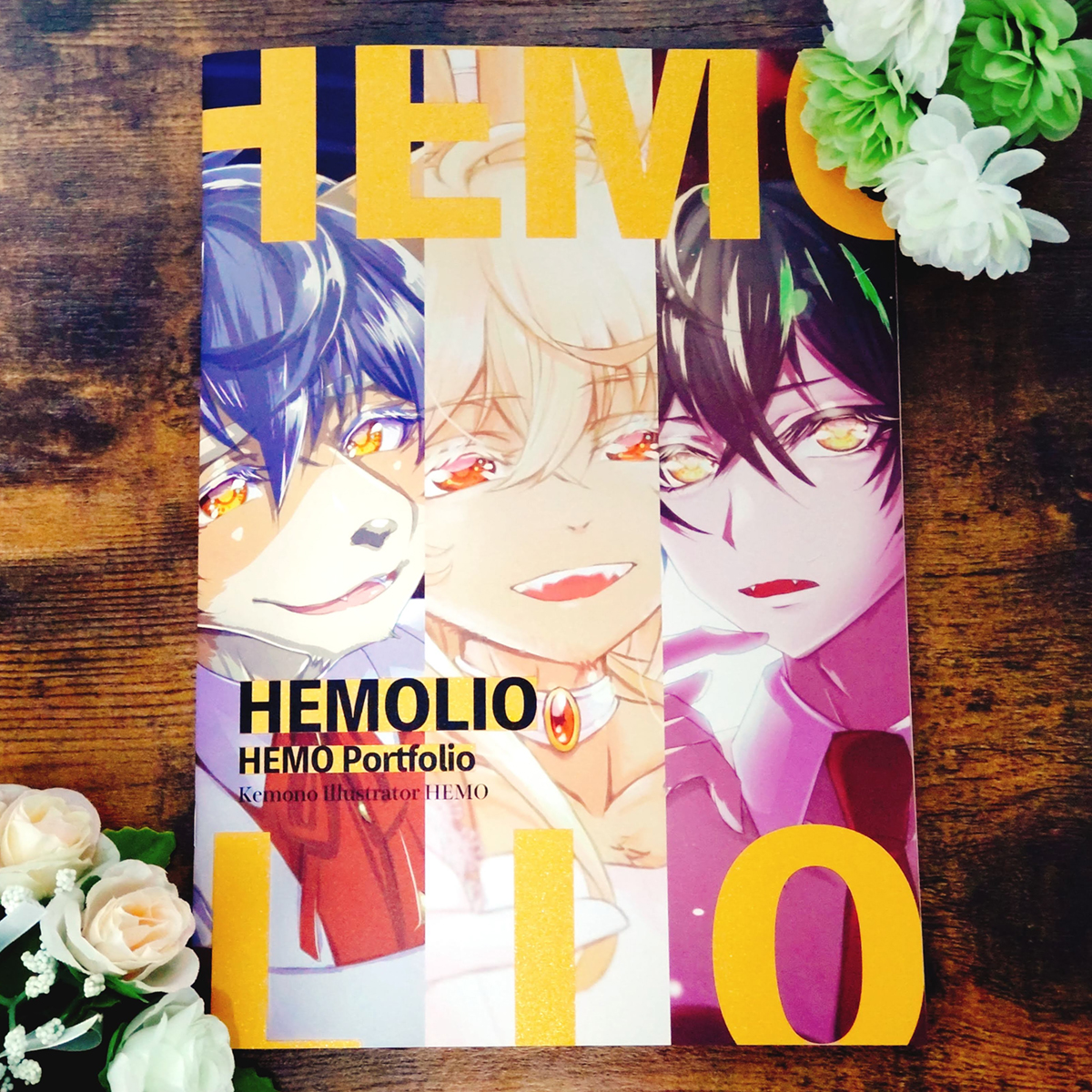 ポートフォリオ画集「HEMOLIO」