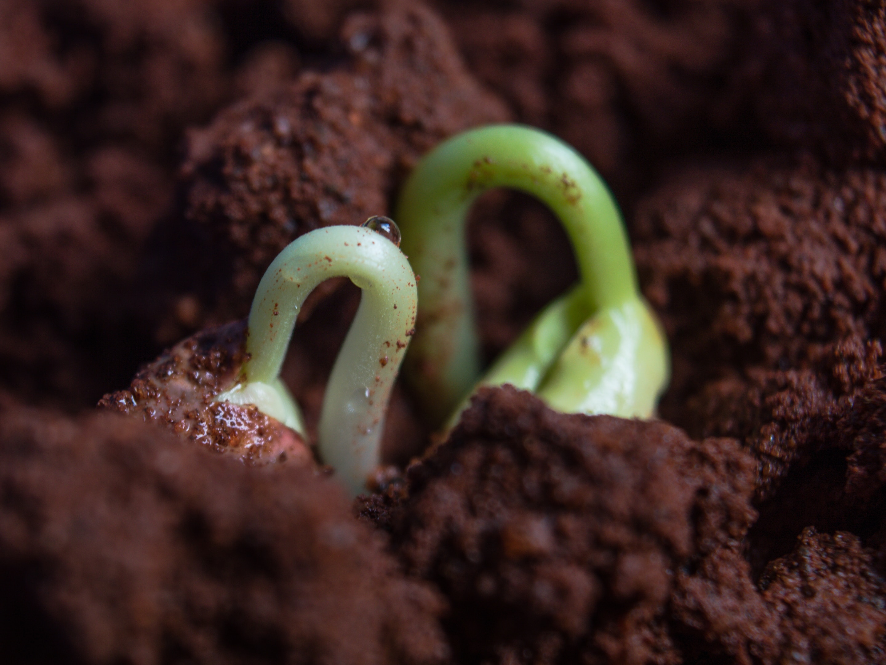 【Seed期】創業～2020年までの沿革