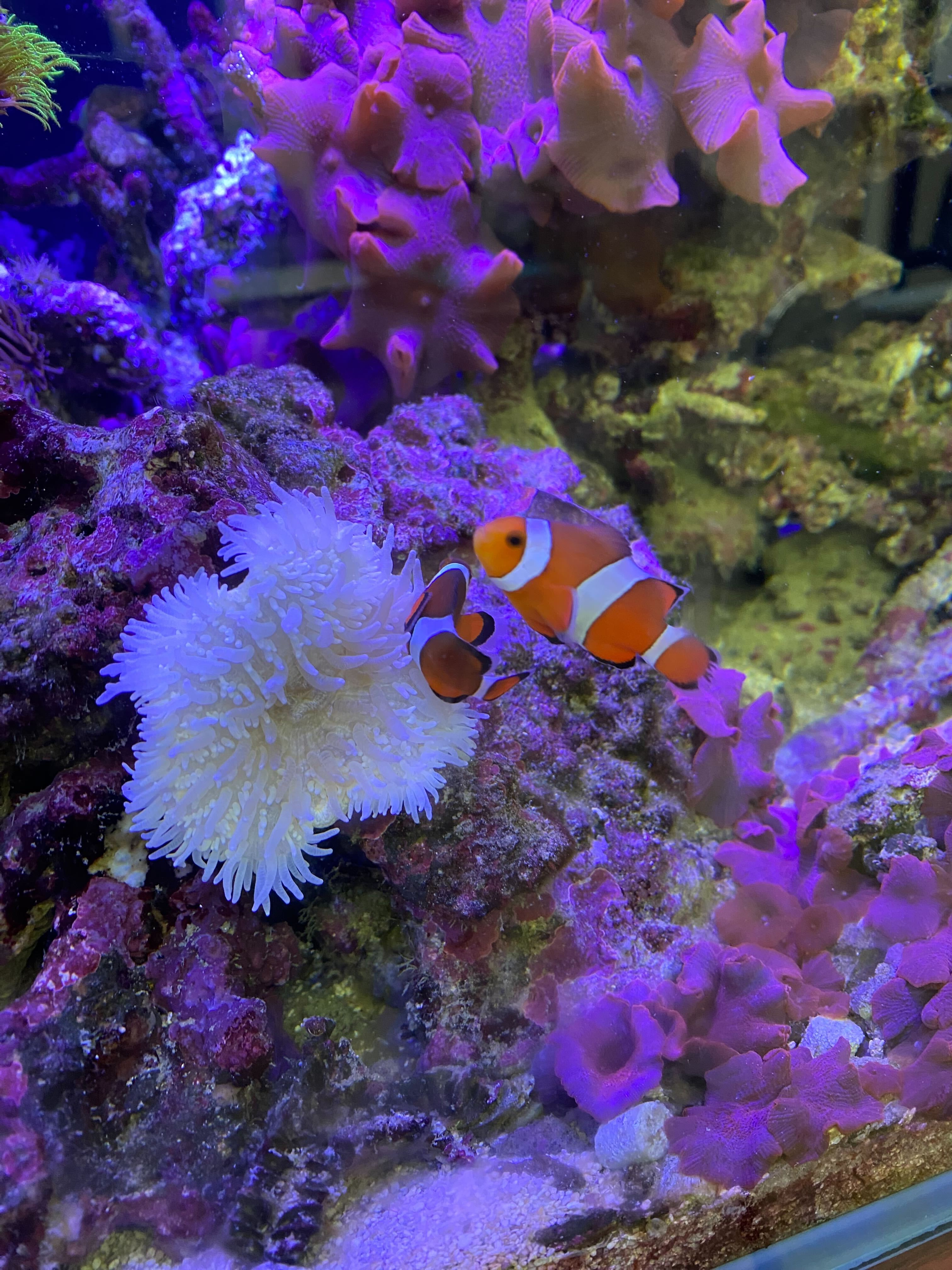 アクアリウム🐠はシステムだ！