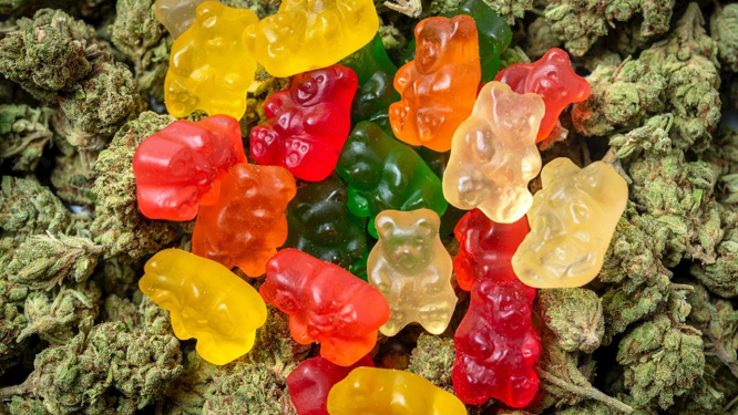 ACV  Keto Gummies Canada