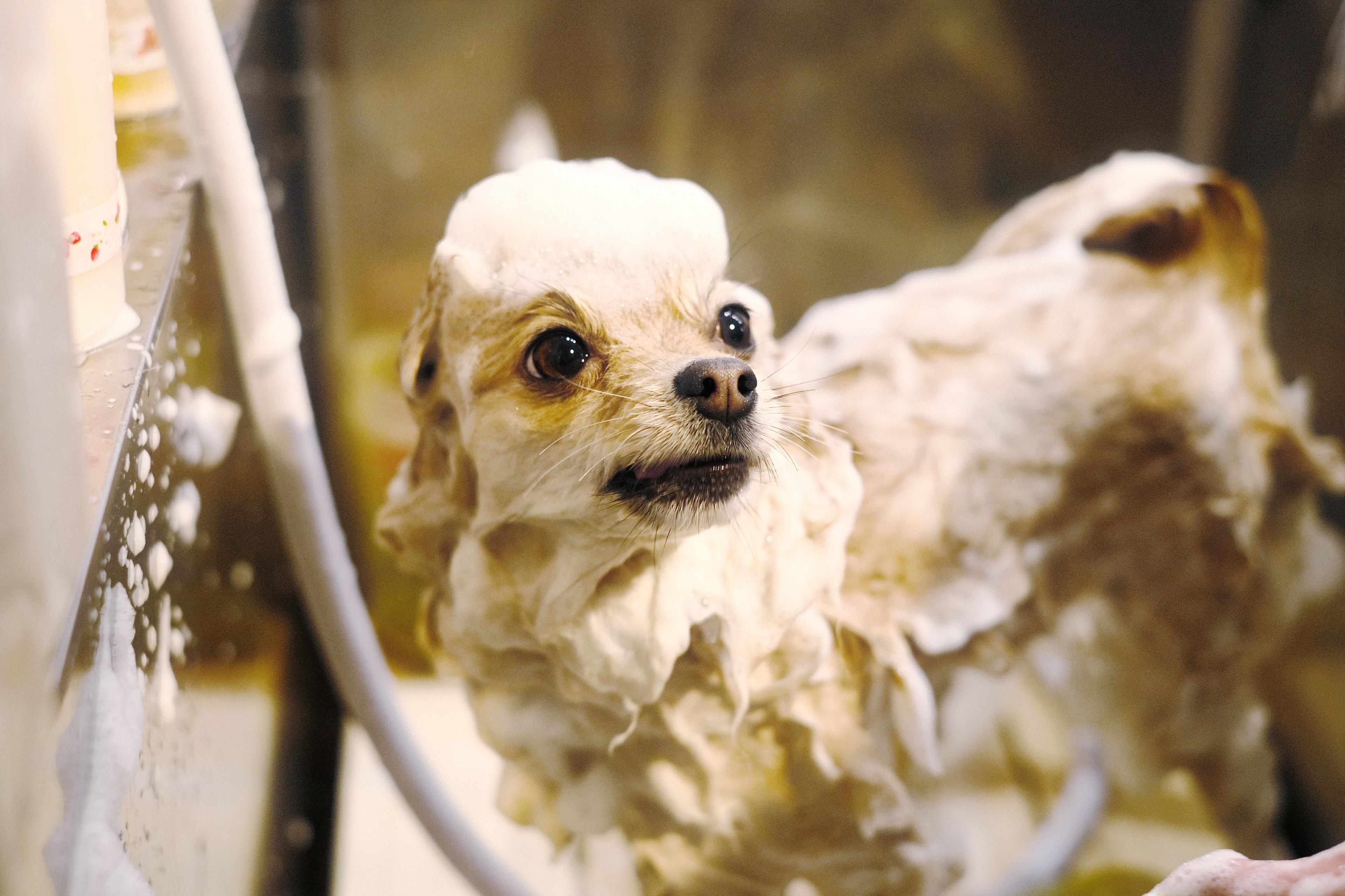 サロンの個性や魅力をお伝えするために