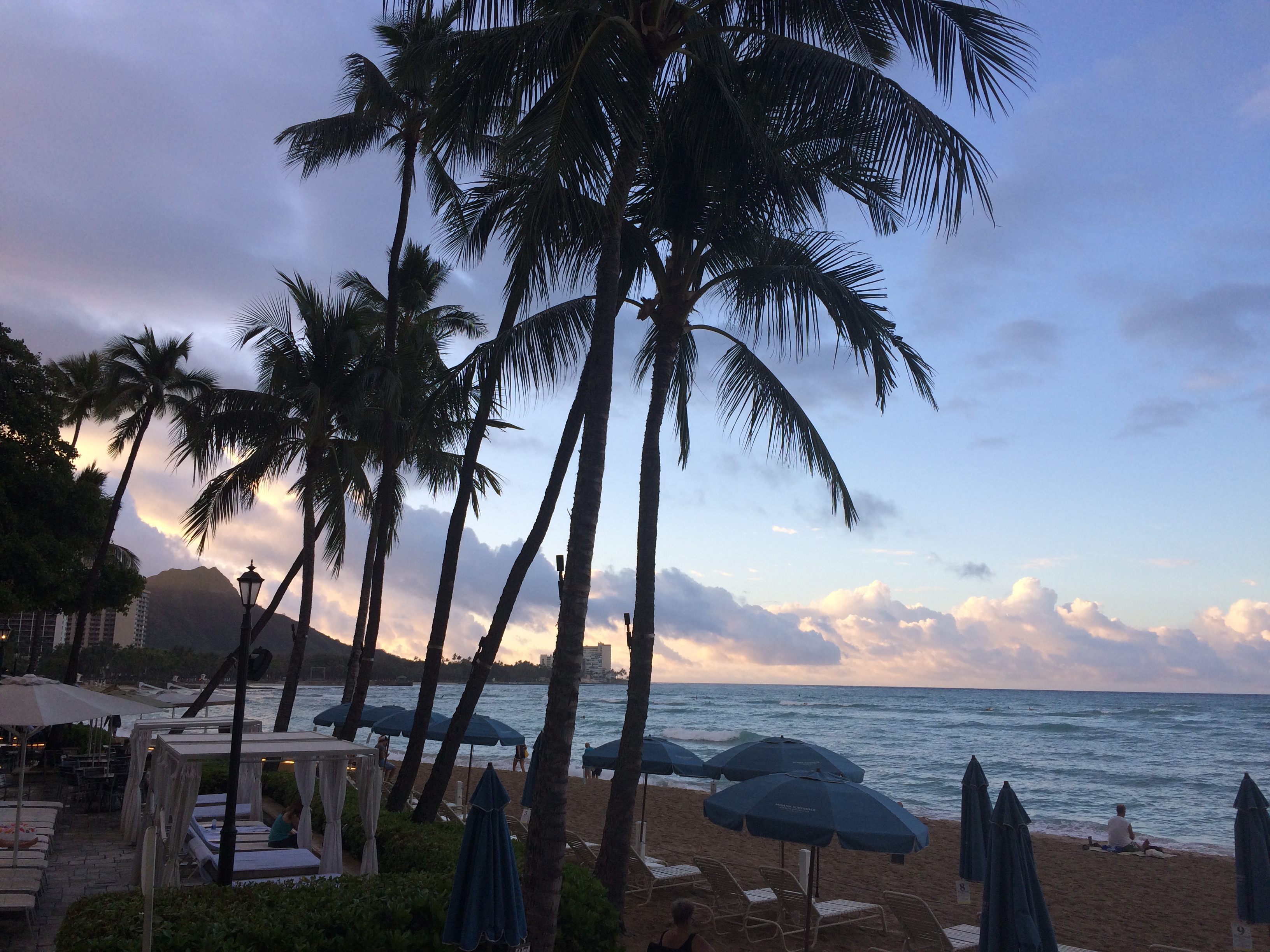 学生インターン｜統計学を深めるために院進を決めた私が、SOLIAインターンで得たいもの