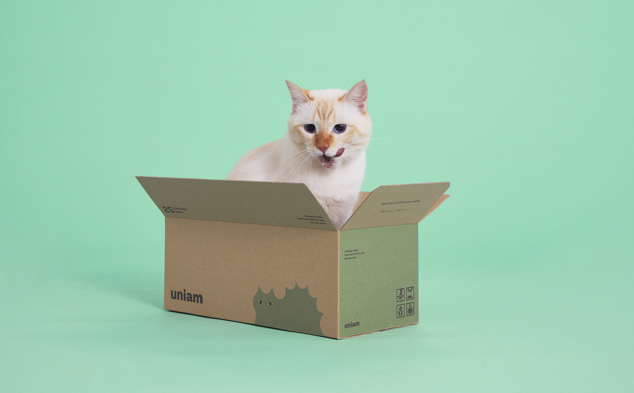 【開発ストーリー】 uniamフレッシュフードができるまで🥣🐈