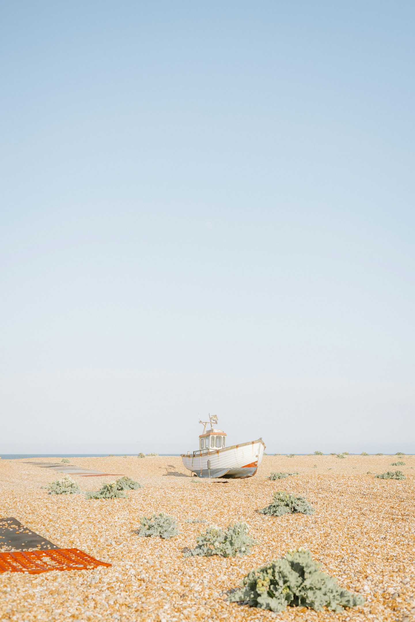 2期目の始まりに神田明神へ参拝しました
