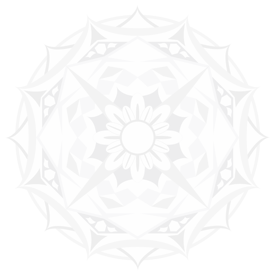 カレイドジャパン株式会社