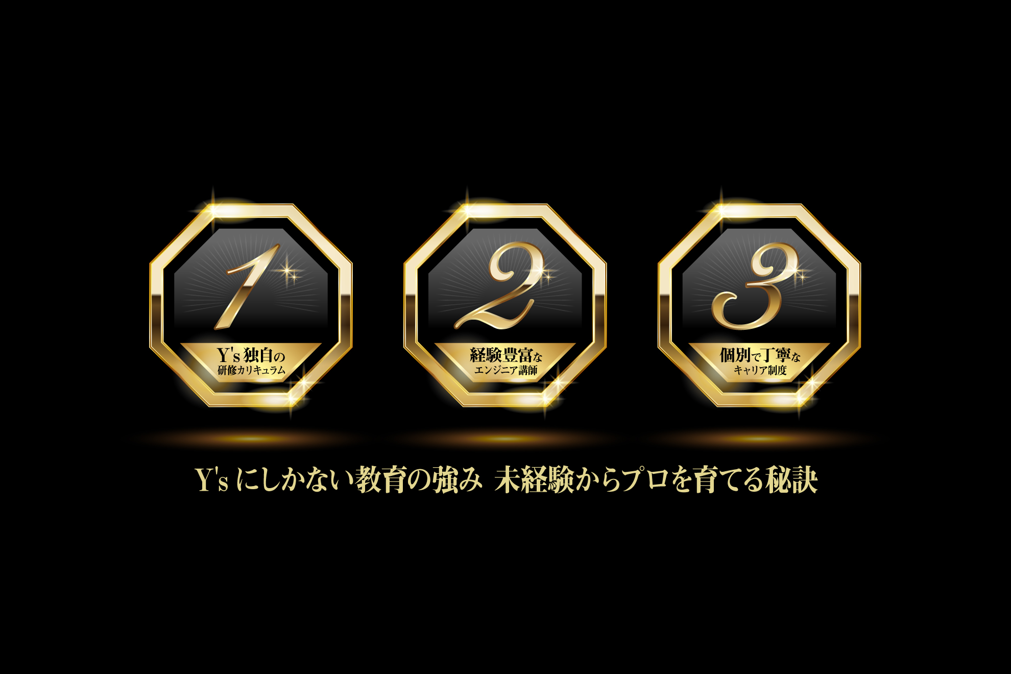 Y'sにしかない教育の強み。未経験からプロを育てる秘訣。