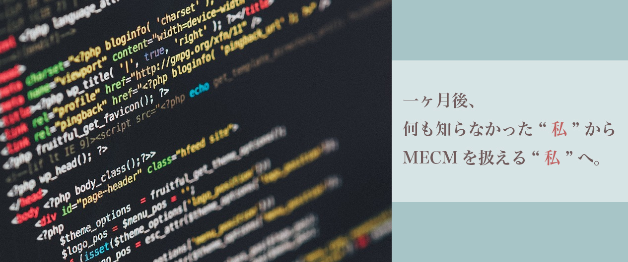 MECMを実際に利用してみたら…