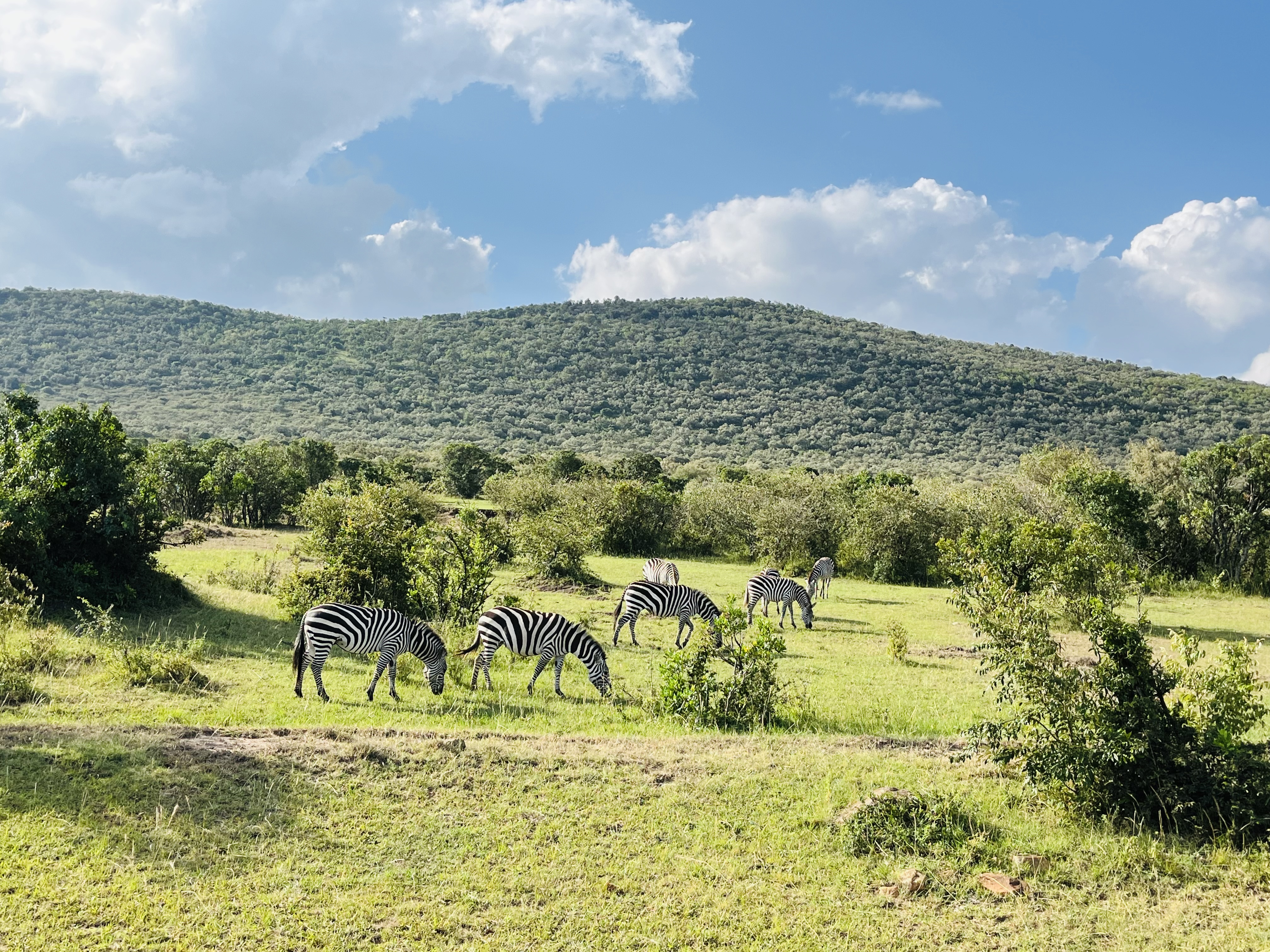 アフリカをもっと身近に。ちょっと笑えて興味が湧くブログ紹介。
