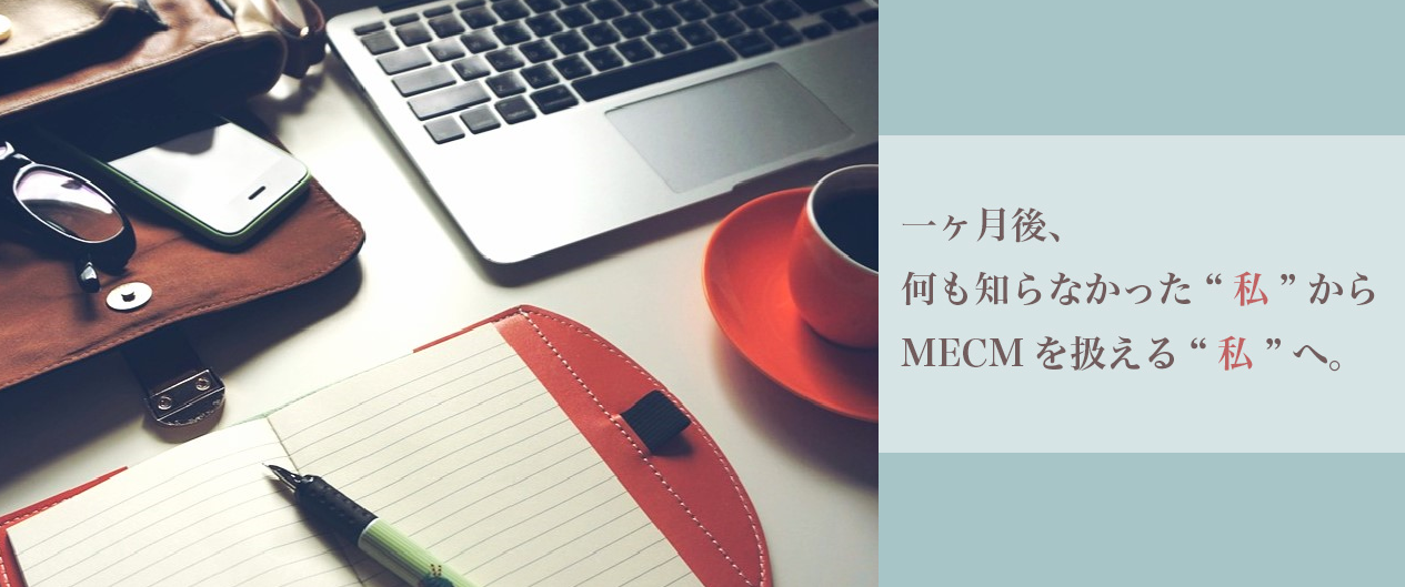 1ヵ月間こんなことをしてました！～研修期間総集編💻～