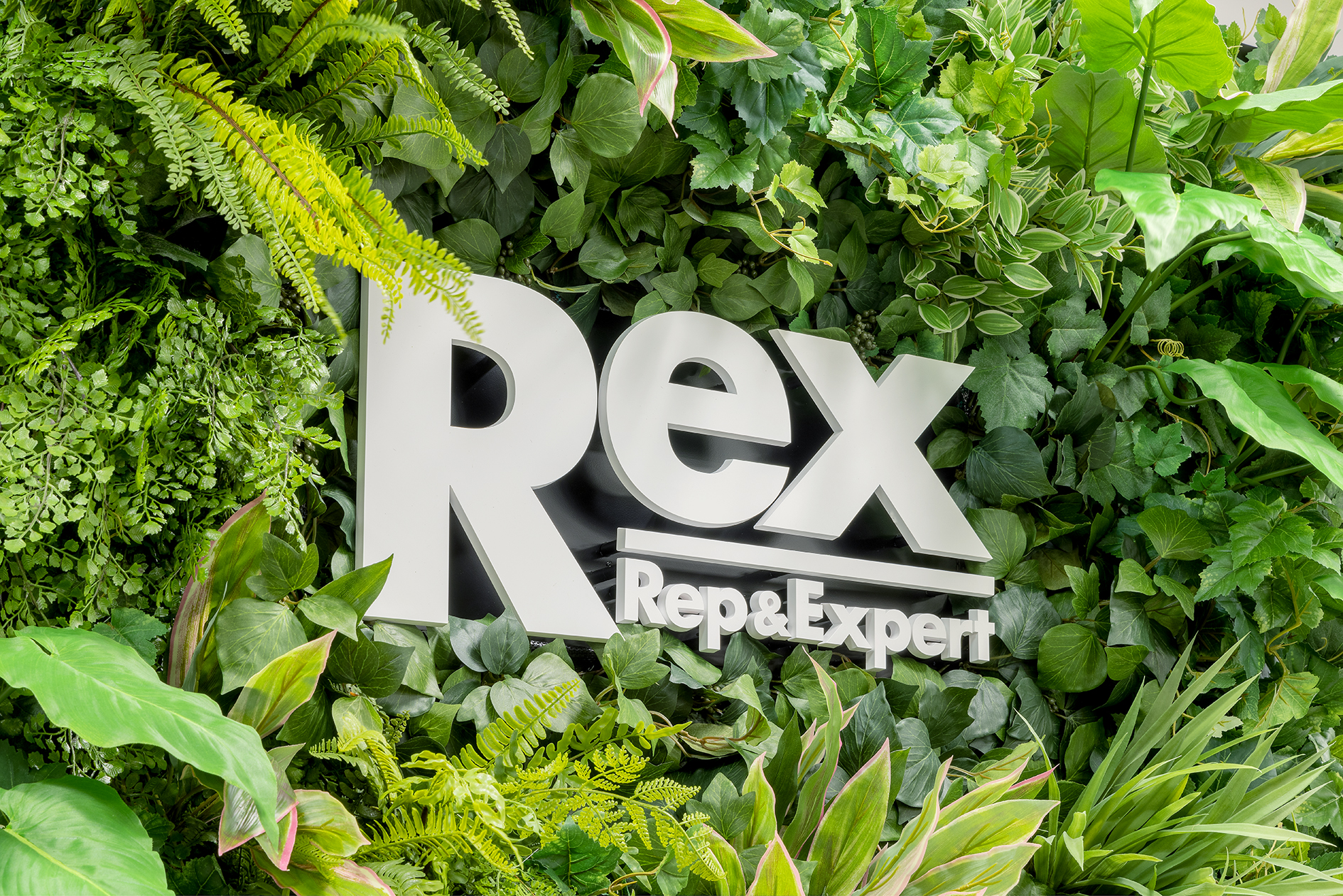 【全社会議レポート】リアル開催をしました！