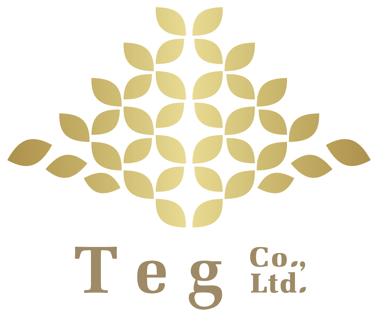 株式会社Teg