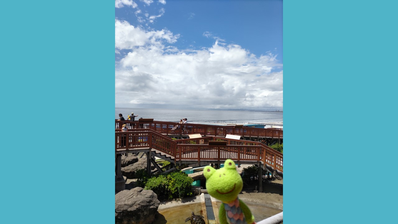 週末に湘南に行ってみたよ！