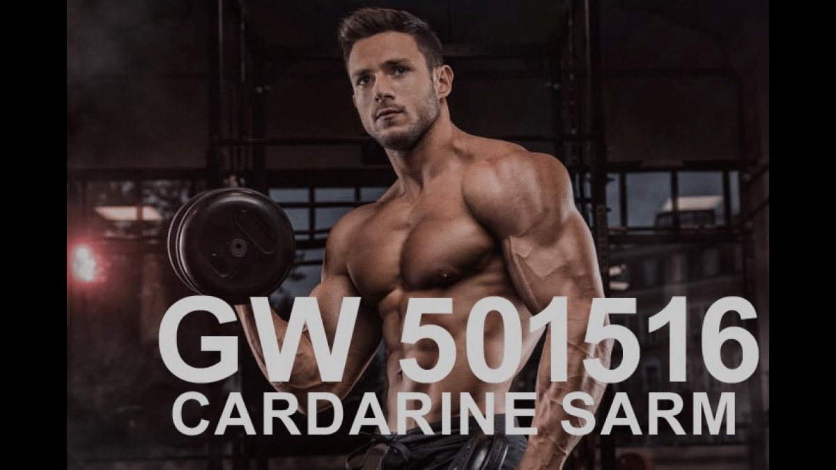 Unlocking the Potential of GW-501516 SARM: What You Need to Know?