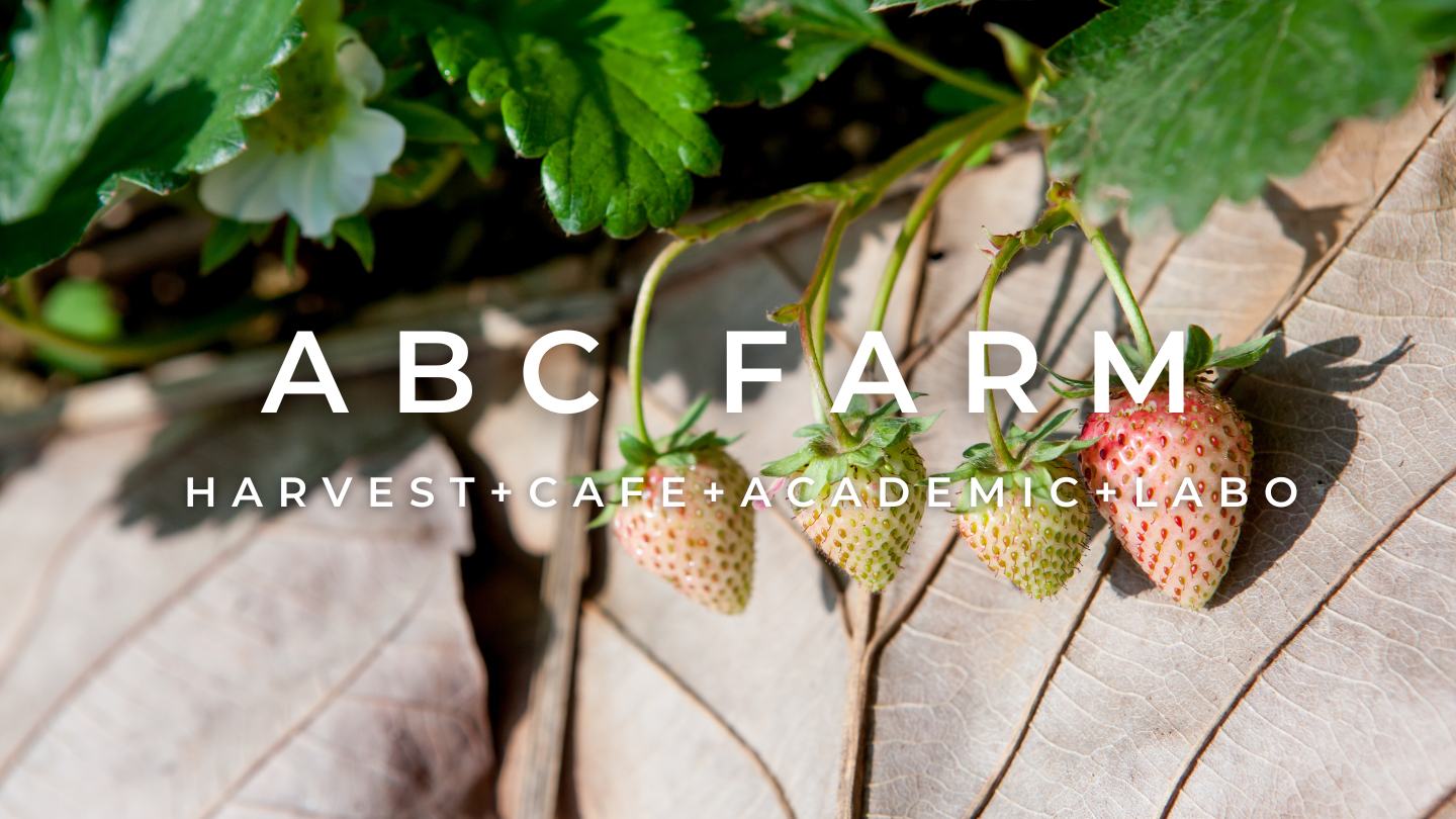 株式会社紀之国屋のぐるめ