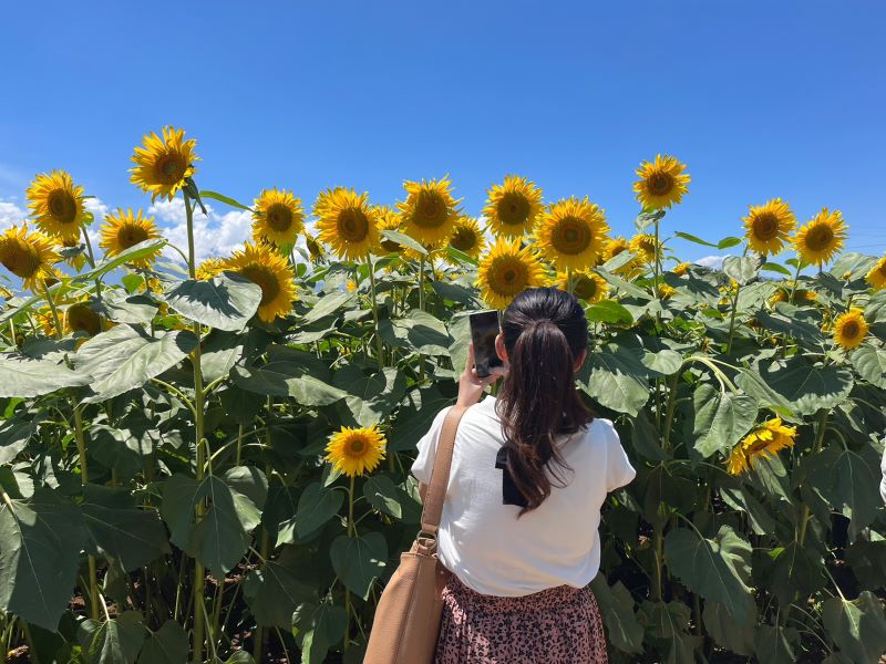 「大好きな航空業界に携わりながら、実家のある地元で働く」メンバーインタビューVol.12