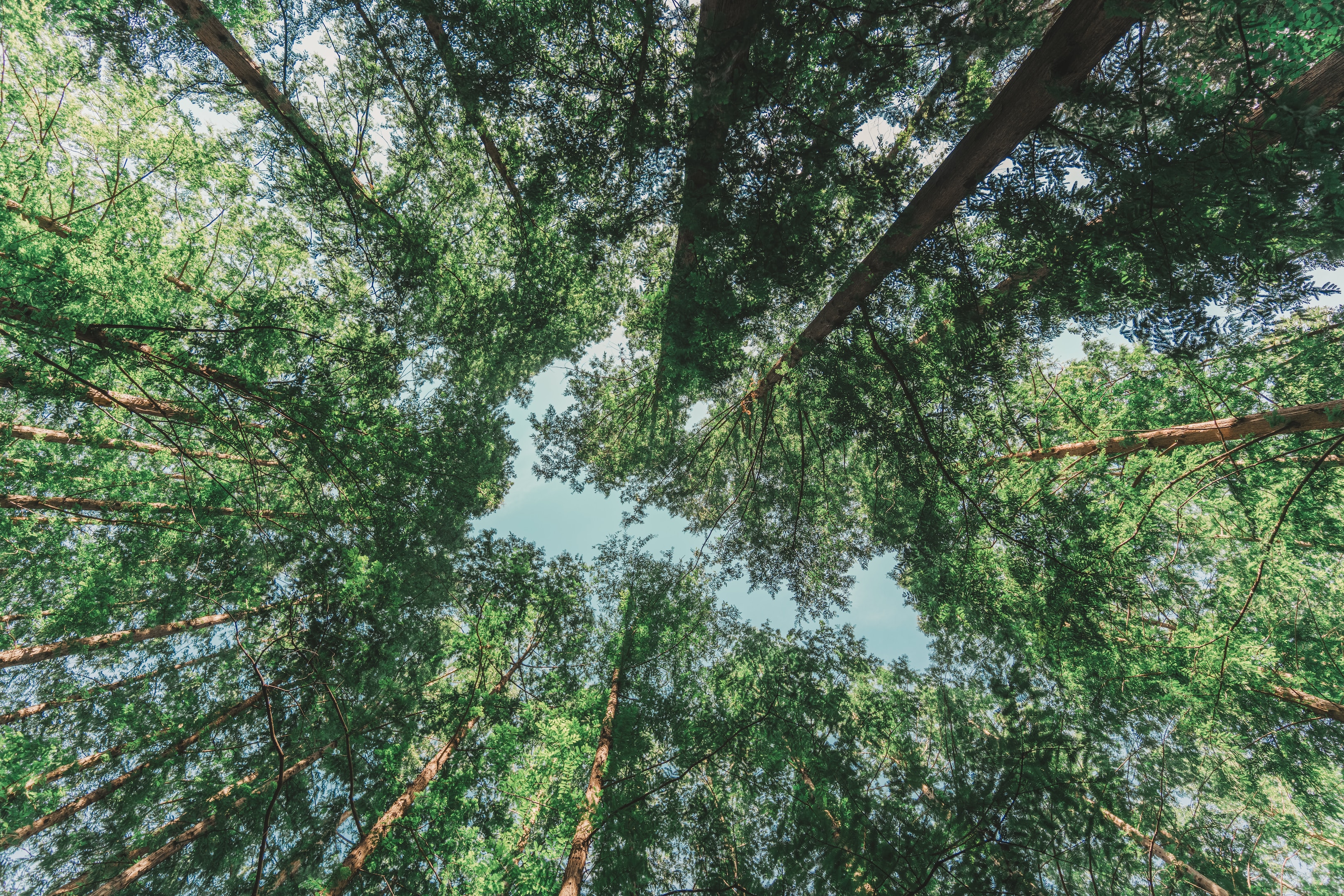 リーダーシップ・ジャーニー