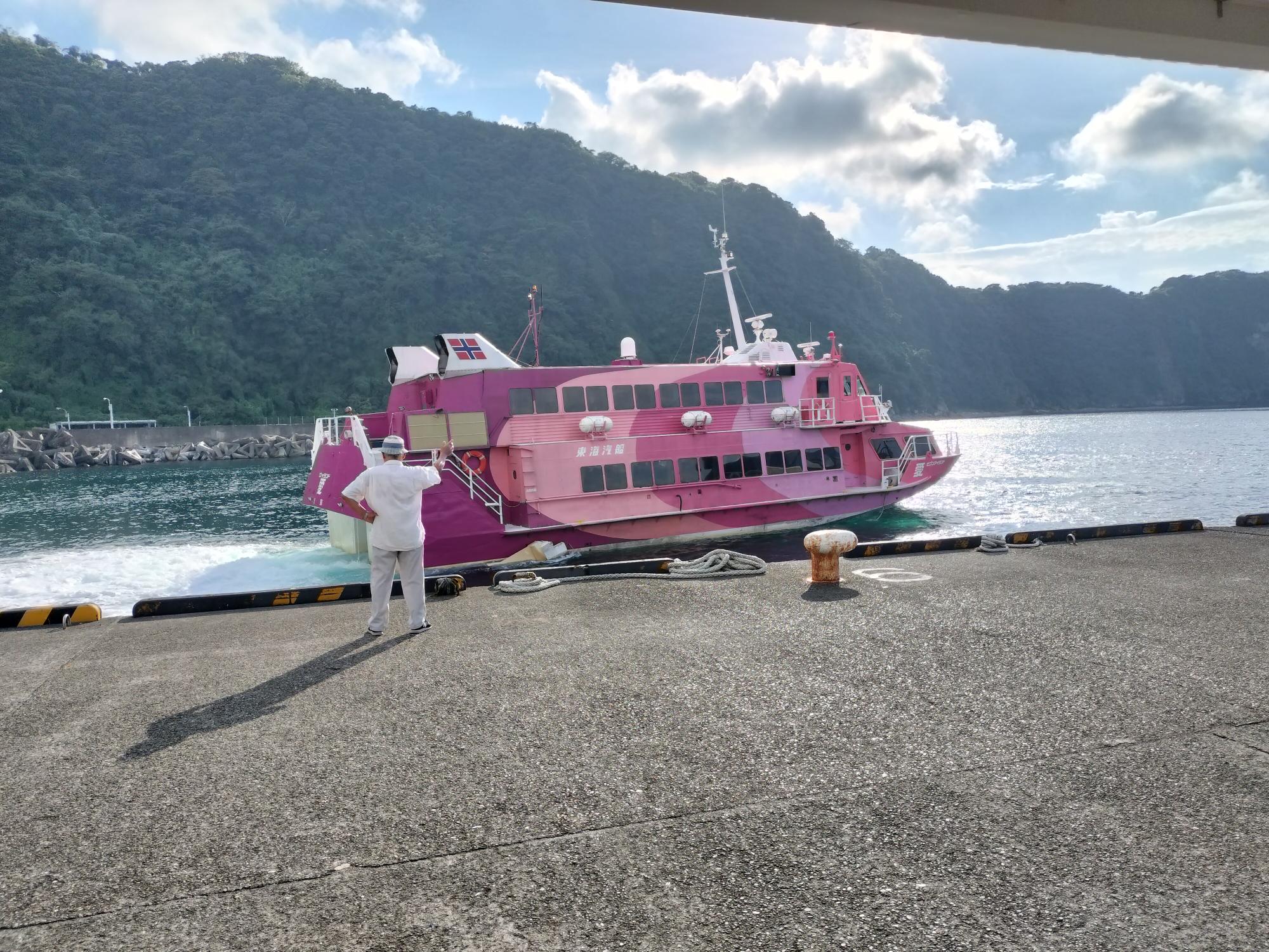 【伊豆大島】国内出張①