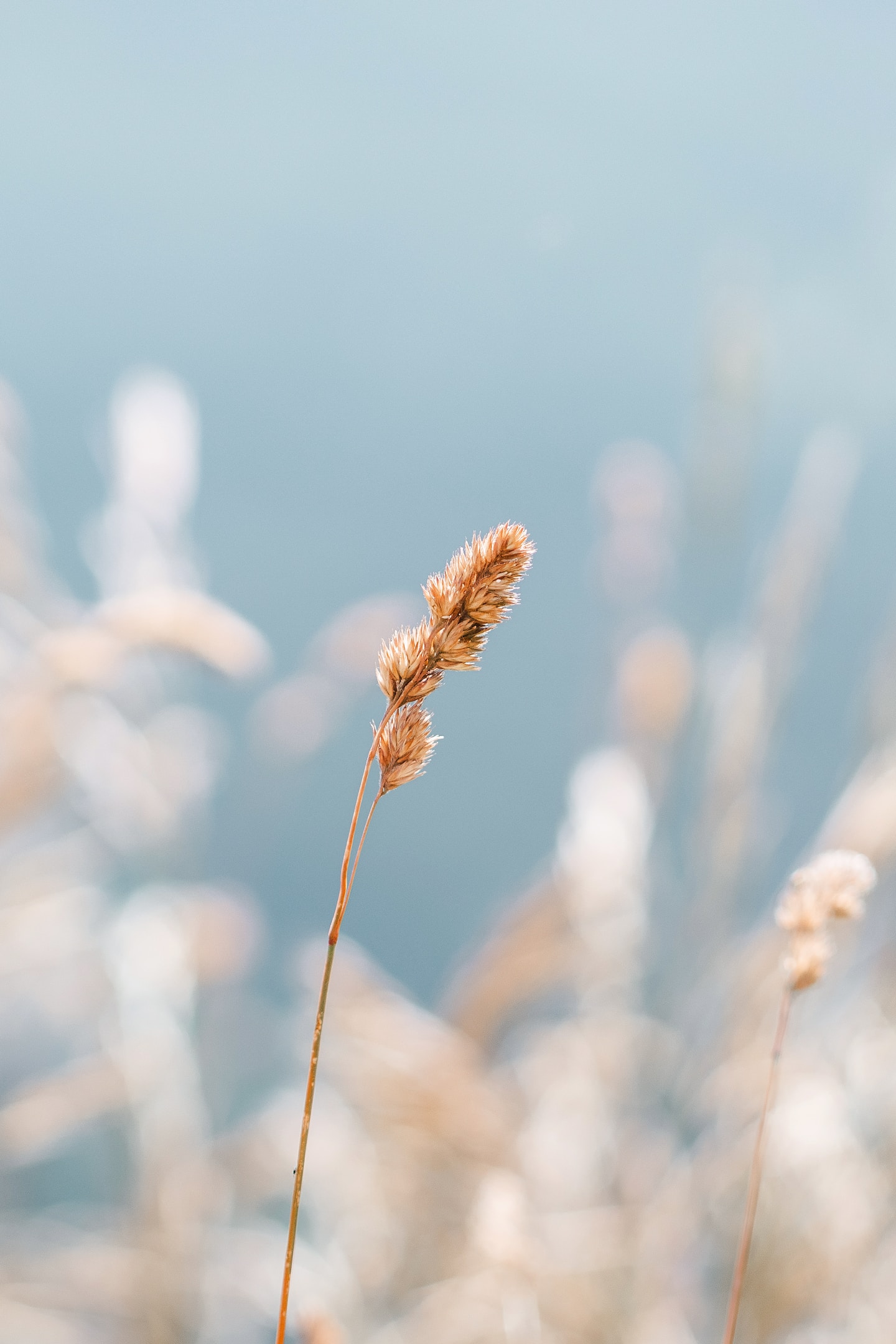 社長へ『10個の質問』してみました！