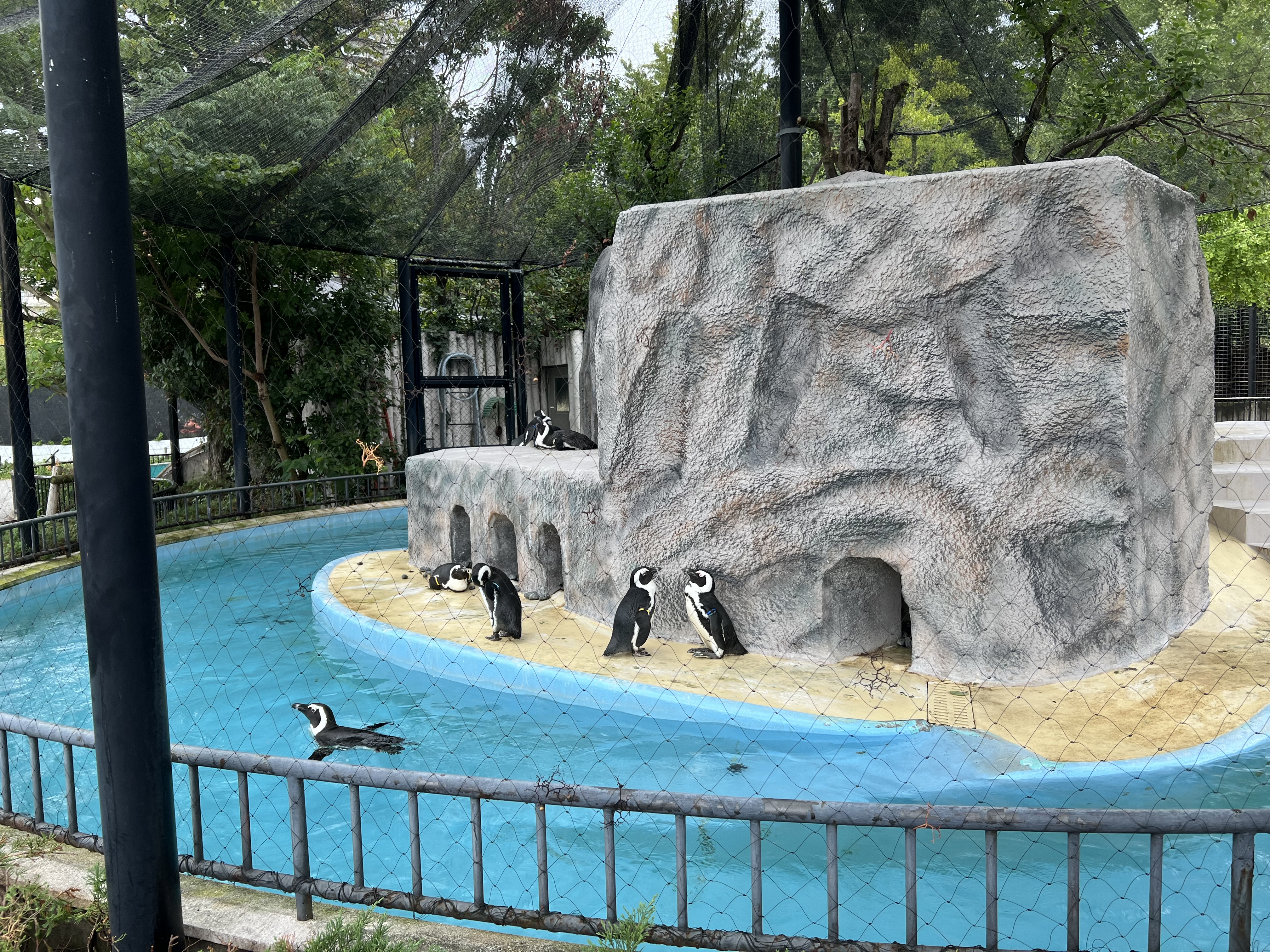 《休日リフレッシュ！》10年ぶりの上野動物園！