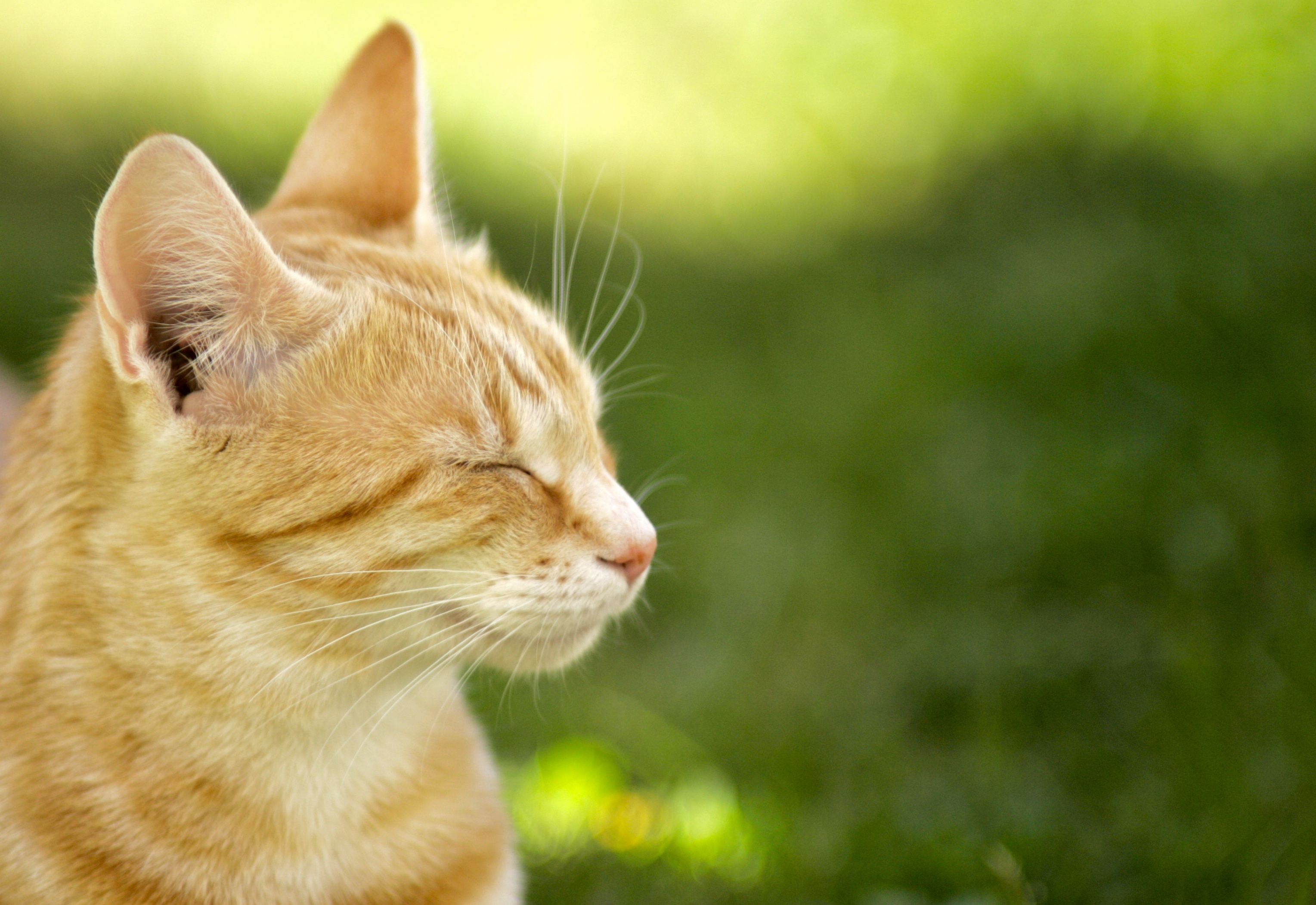 初めまして！採用担当の田中です😸✨