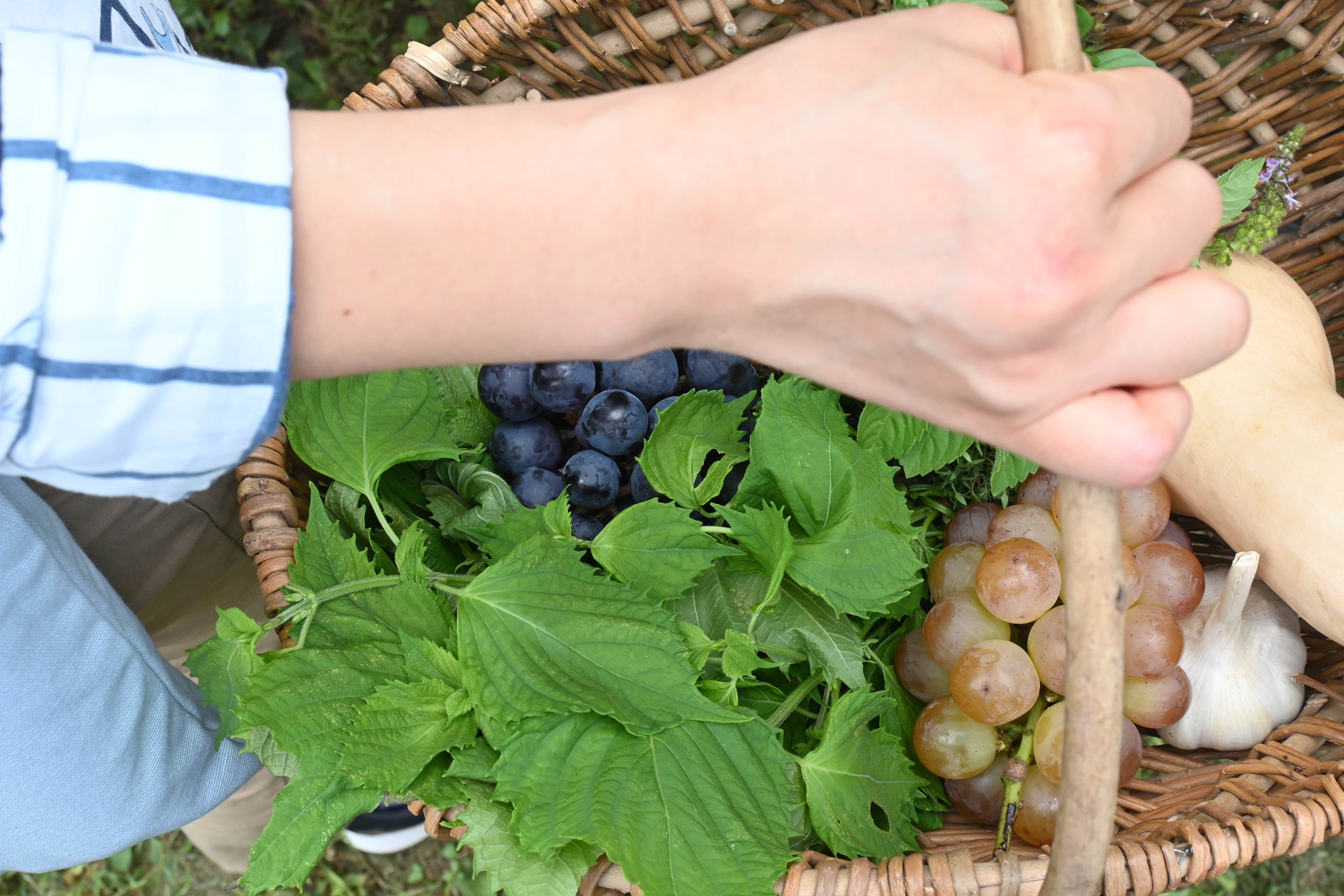 9月の株海士特集：食の秋、Entô Diningの秋🍁