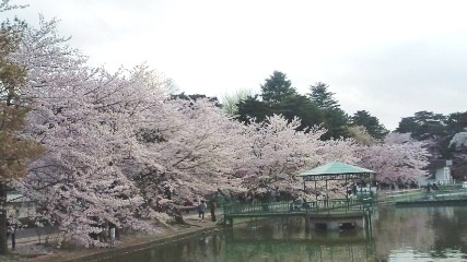 ☆★☆4月1日☆★☆