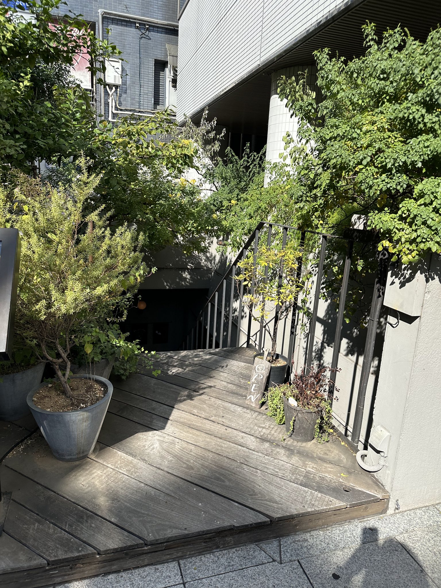 ENKINLAB日本チームのランチミーティング