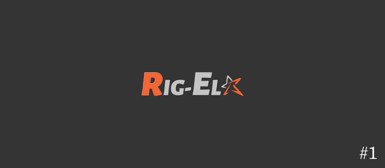 株式会社RIG-EL 設立秘話インタビュー#1