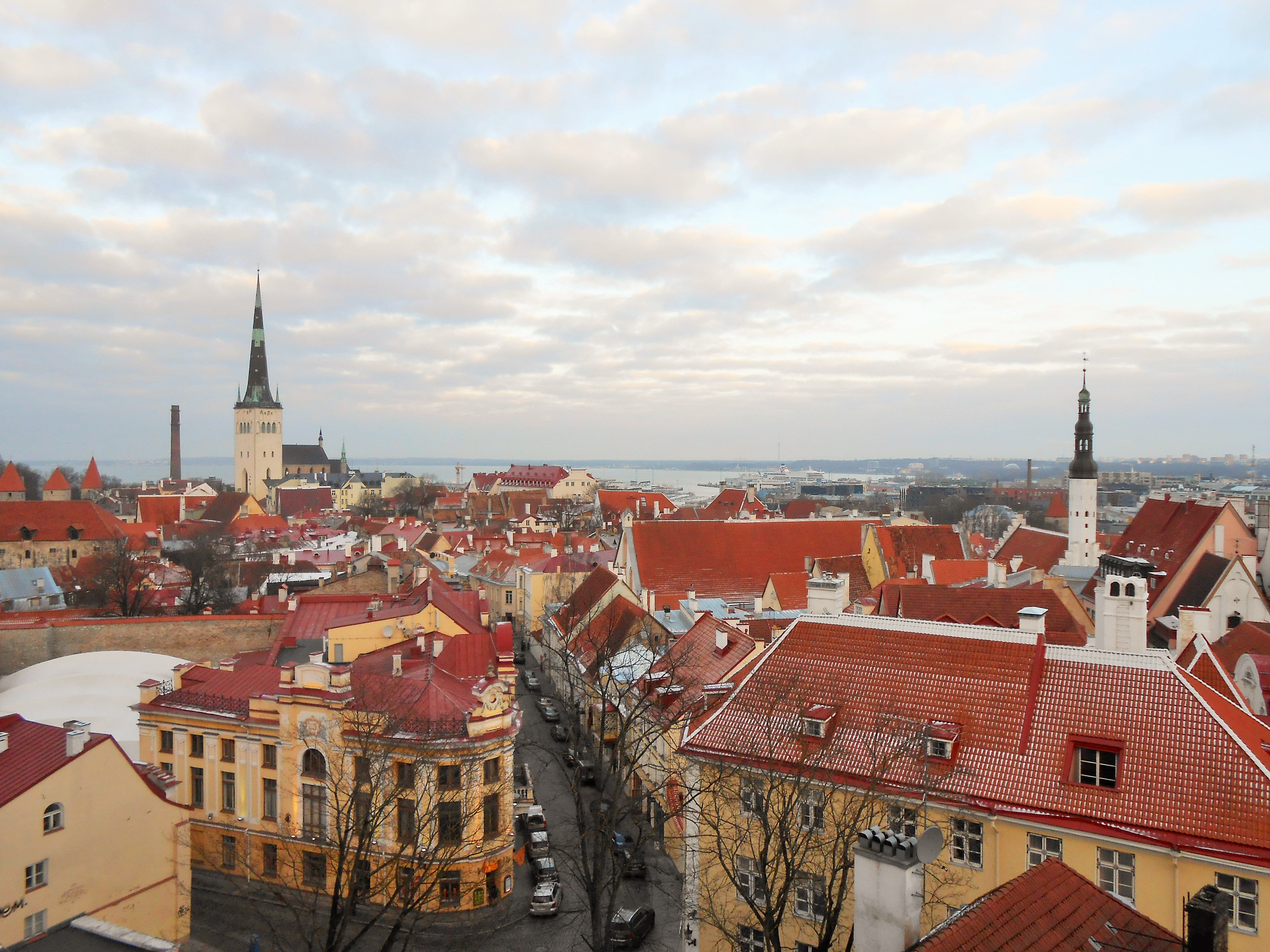 第２外国語を勉強するなら何語のベネフィットが大きい？世界４大陸のパートナーと連携するフィンテック企業でメンバーに聞いてみました