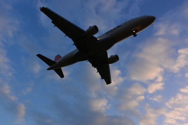 創業第7期を迎えて