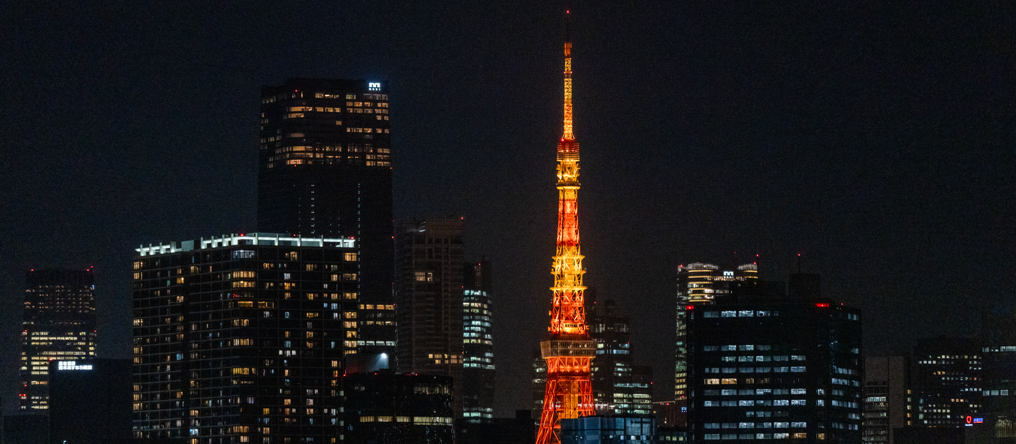 東京本社のメンバーで、2度目の東京湾クルージングへ！