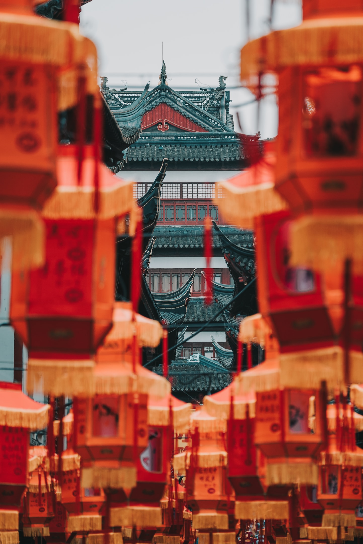 新年あけましておめでとうございます⛩️