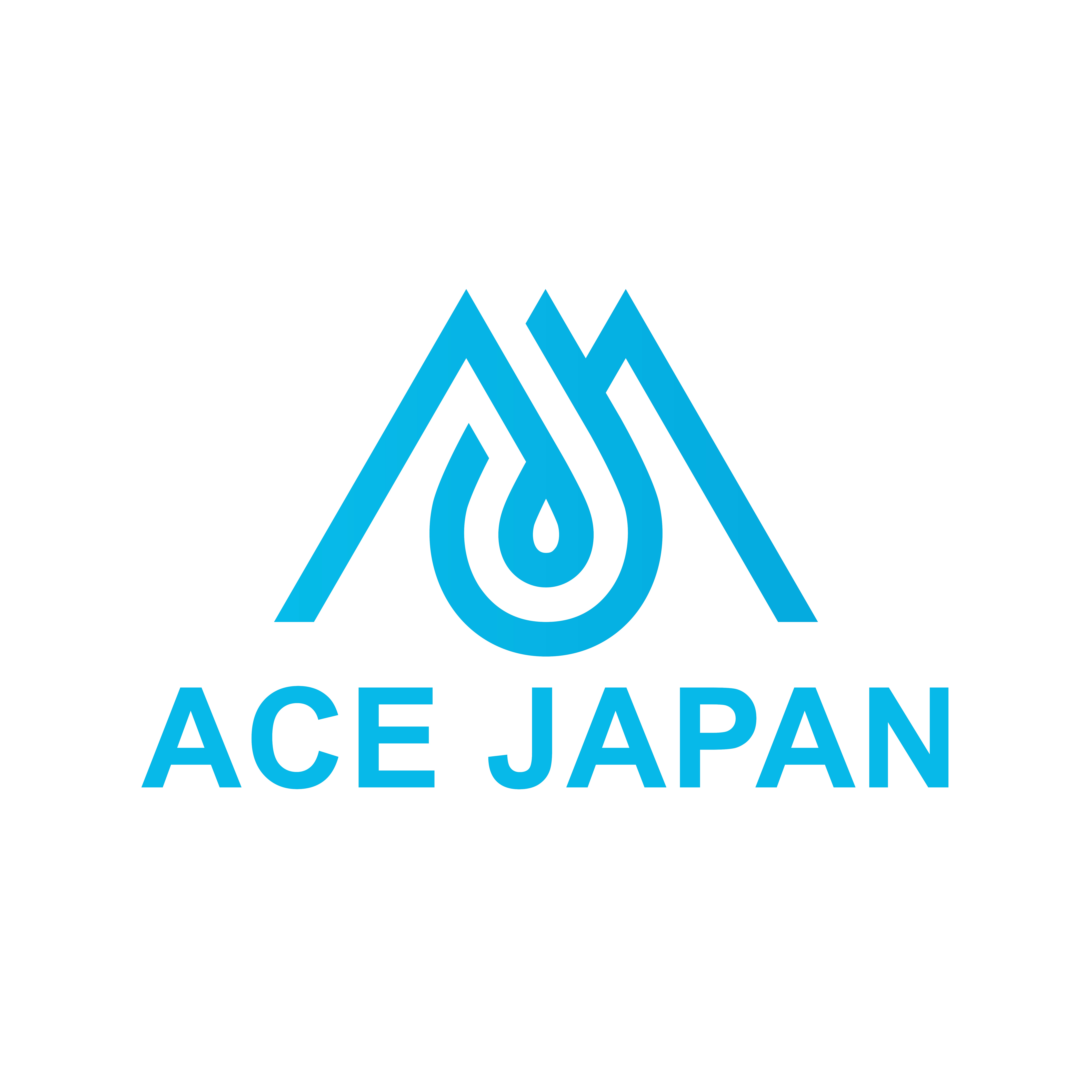 株式会社ACE JAPAN