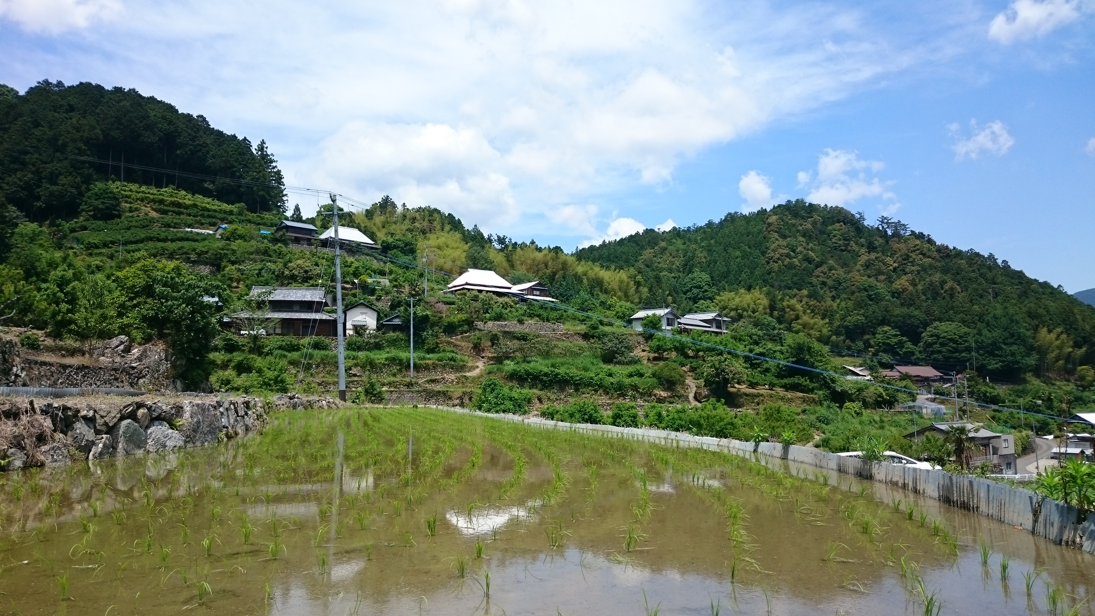 お試し神山塾、大好評でした！