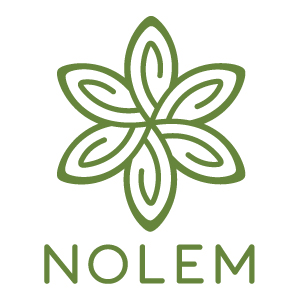 株式会社Nolem