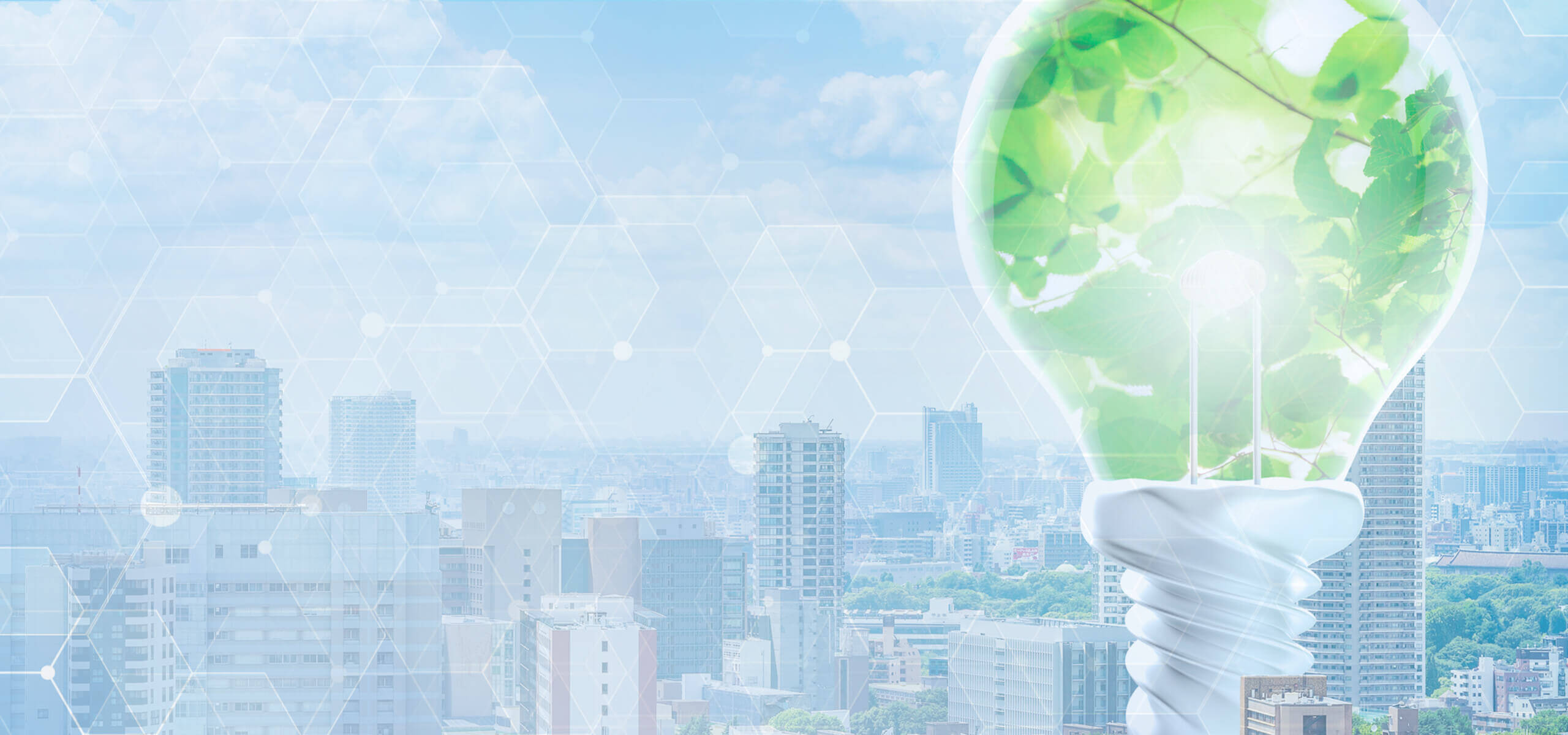 【社員インタビュー】DG入社までの物語｜電力に興味を持った理由にせまる...！