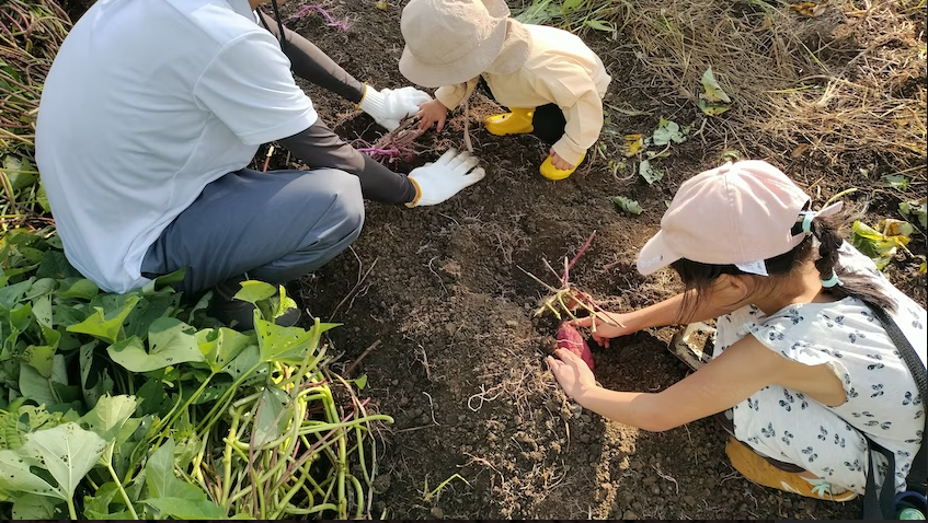 【新規事業の理由】本当の「いただきます」を次世代に教えたい