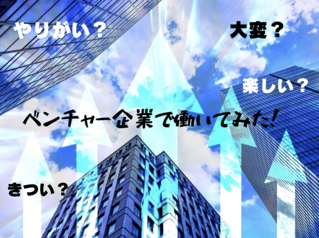 ベンチャー企業で働いてみた！