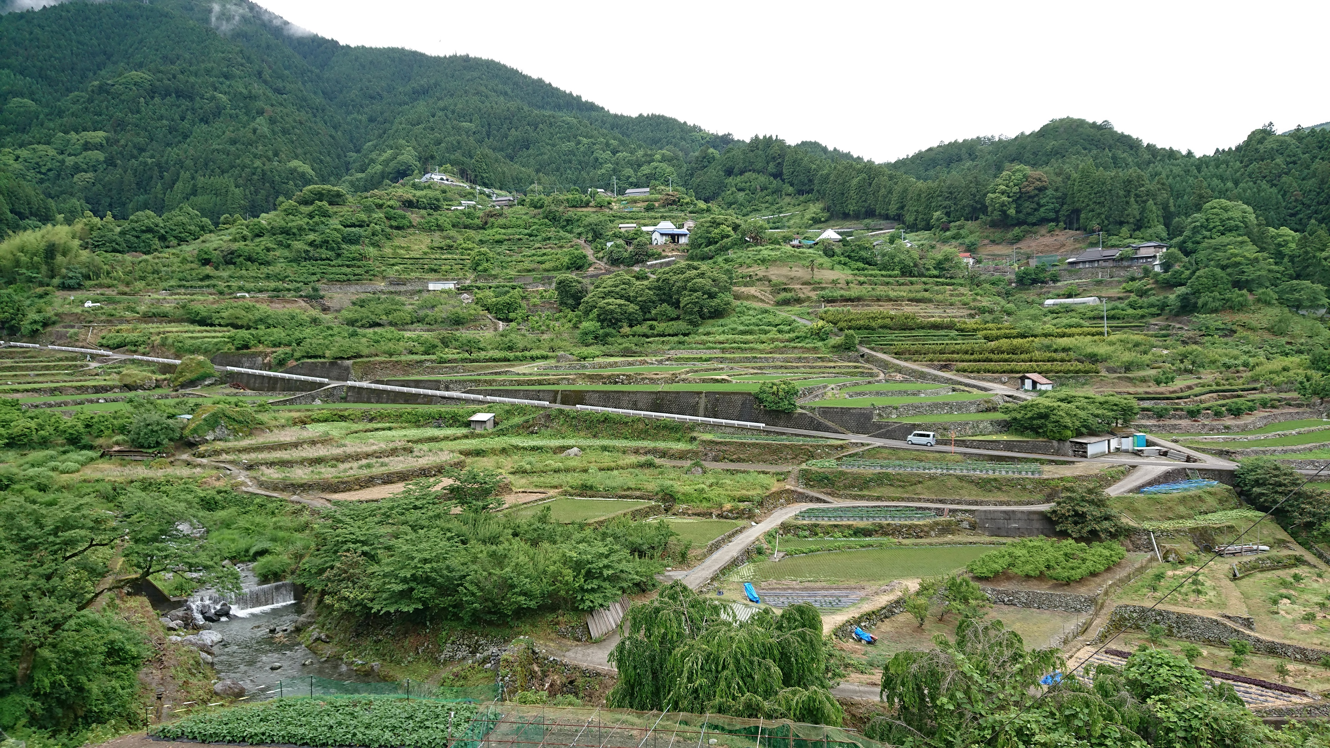 第２弾お試し神山塾、さらに大好評！