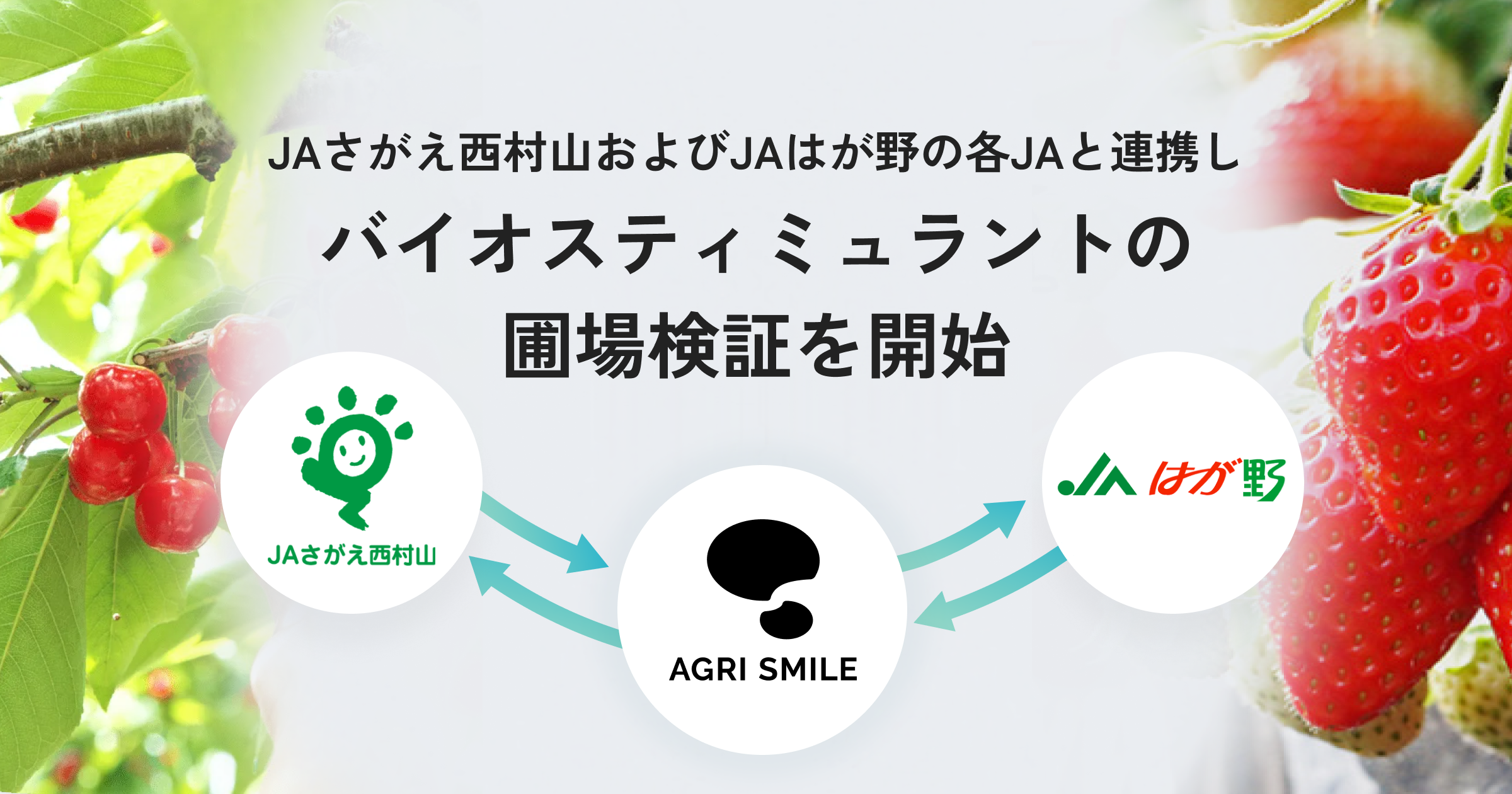 AGRI SMILE、JAさがえ西村山およびJAはが野の各JAと連携しバイオスティミュラントの圃場検証を開始
