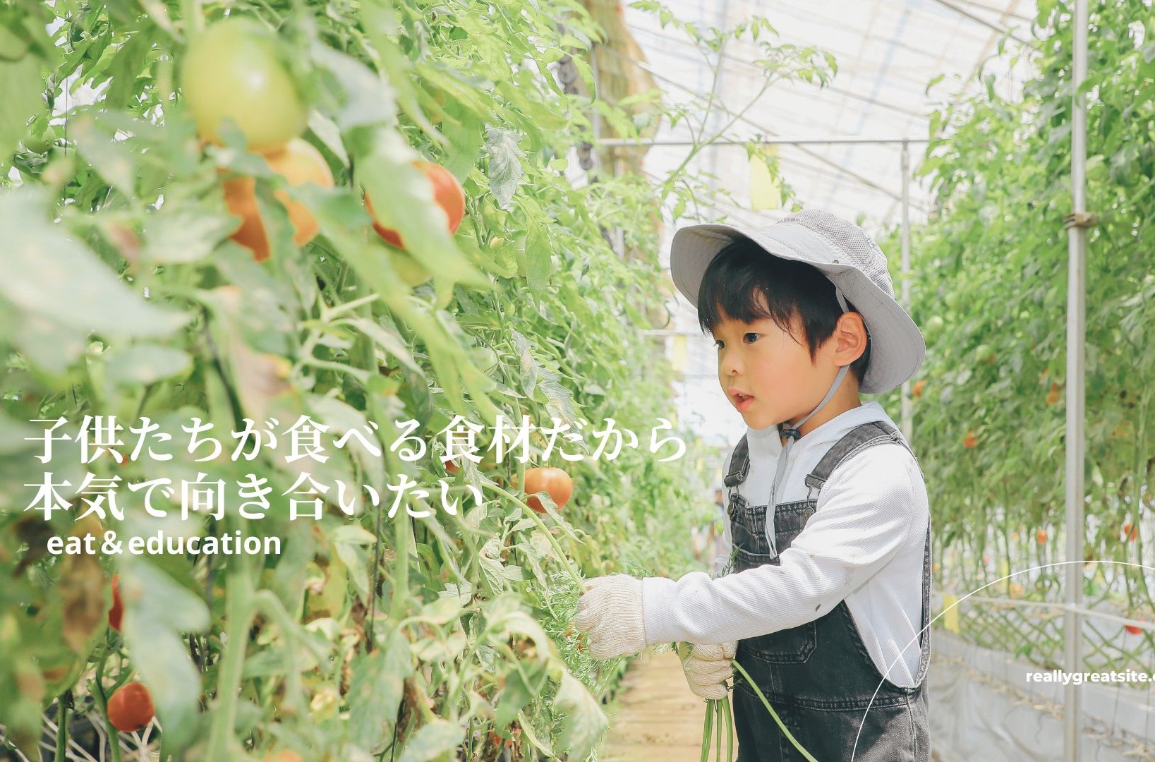 感覚ではなく数字で語る！子どもたちの身体になる食材だからこそ本気で向き合いたい。「はいチーズ！べジ」の品質管理