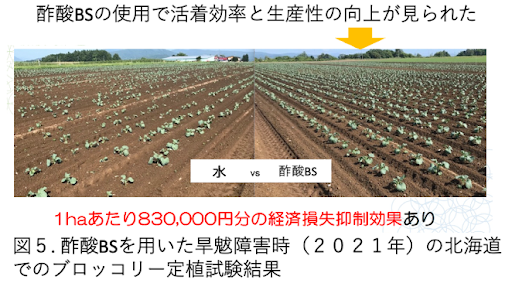 アクプランタ、農水省SBIRフェーズ3基金に採択