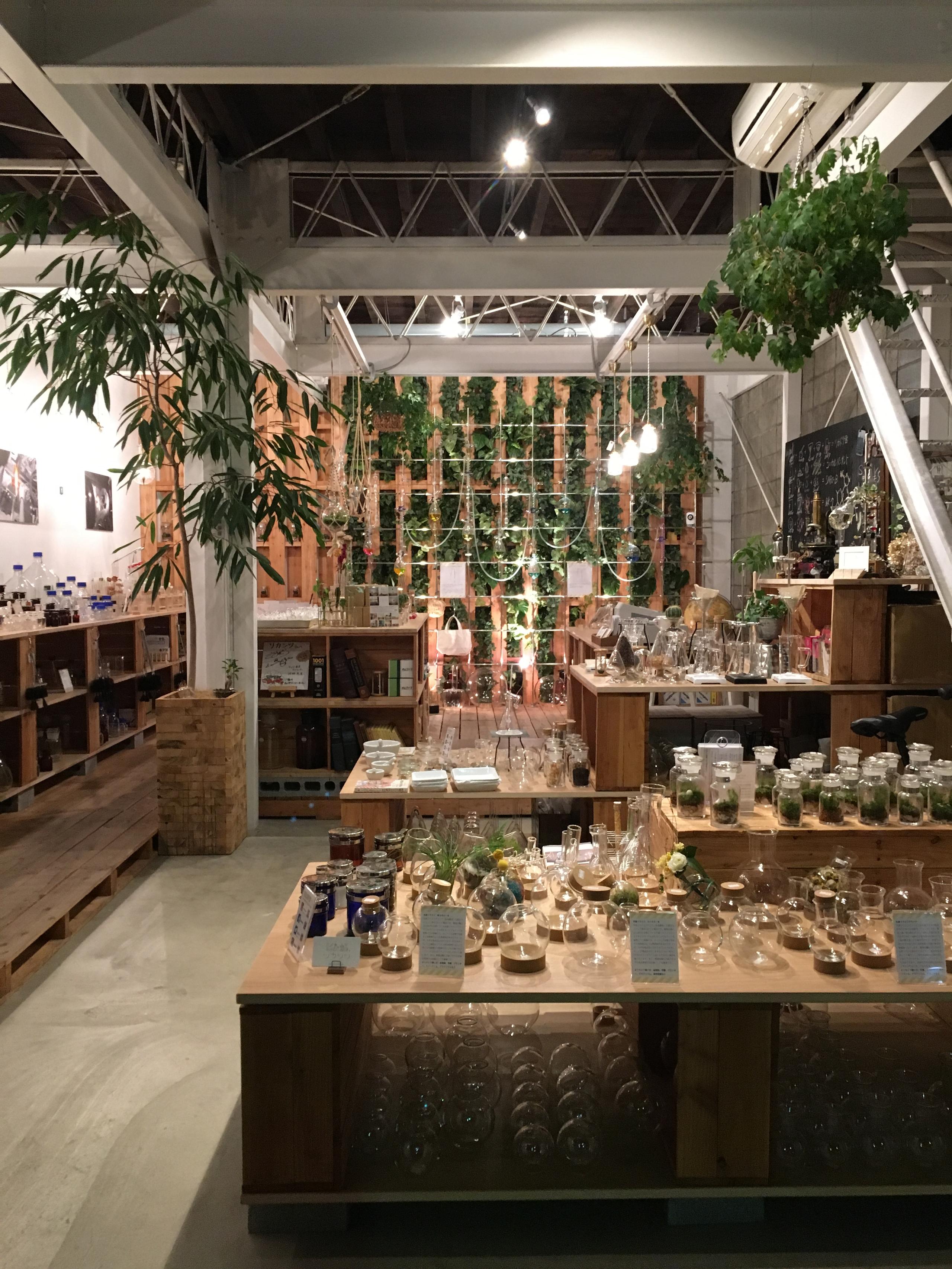 リカシツ株式会社の会社情報 Wantedly