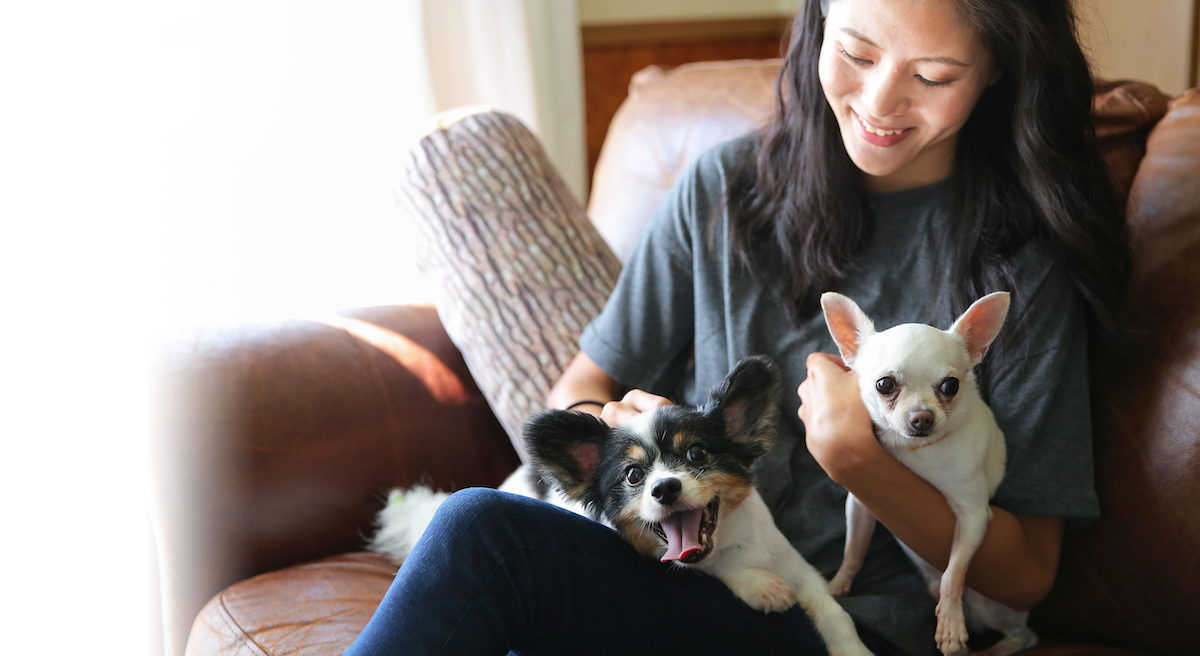 愛犬家のみなさん、「ドッグホスト」として活動してみませんか？