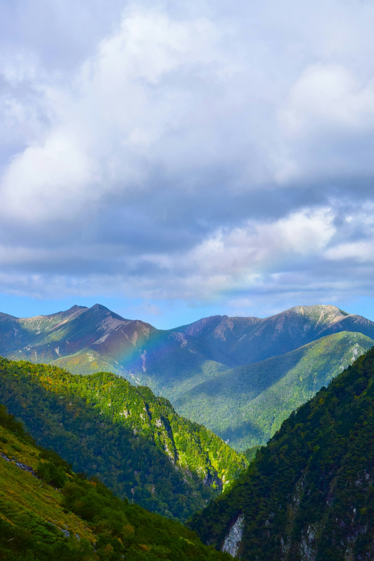 【お知らせ】鷹ノ巣山 ハイキングに行ってきました！